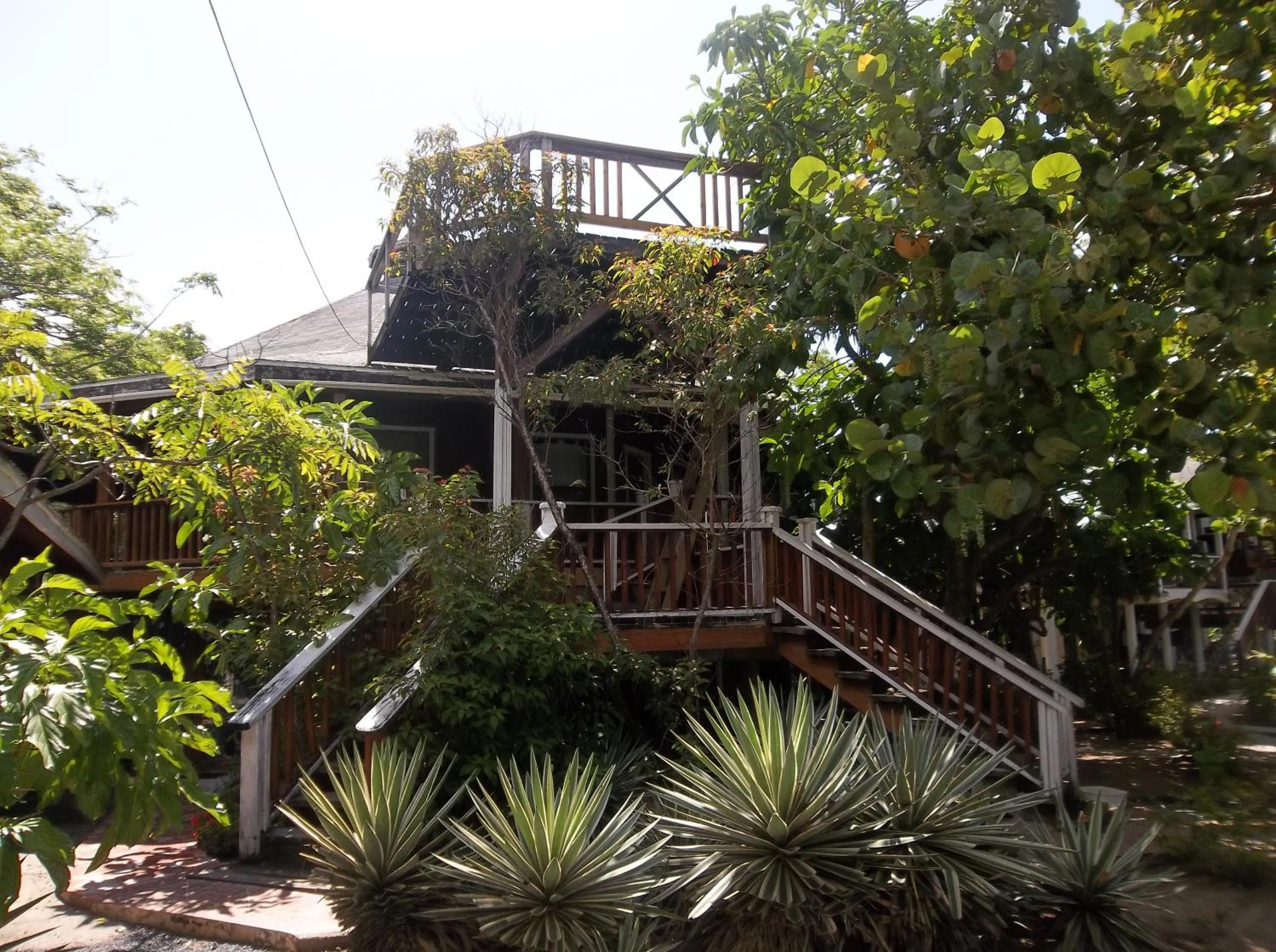 Garden view in Fosters West Bay Resort