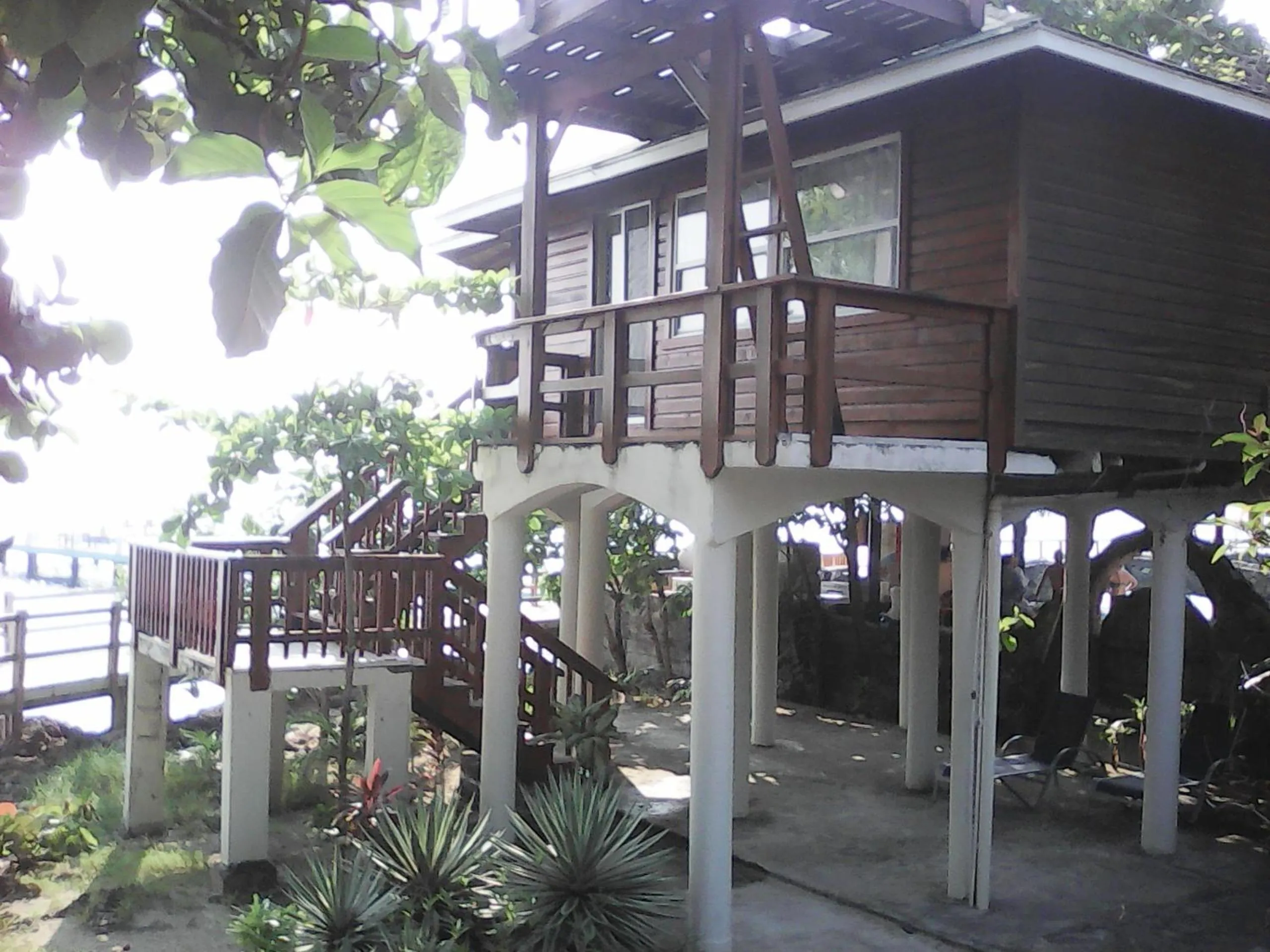 Garden in Fosters West Bay Resort