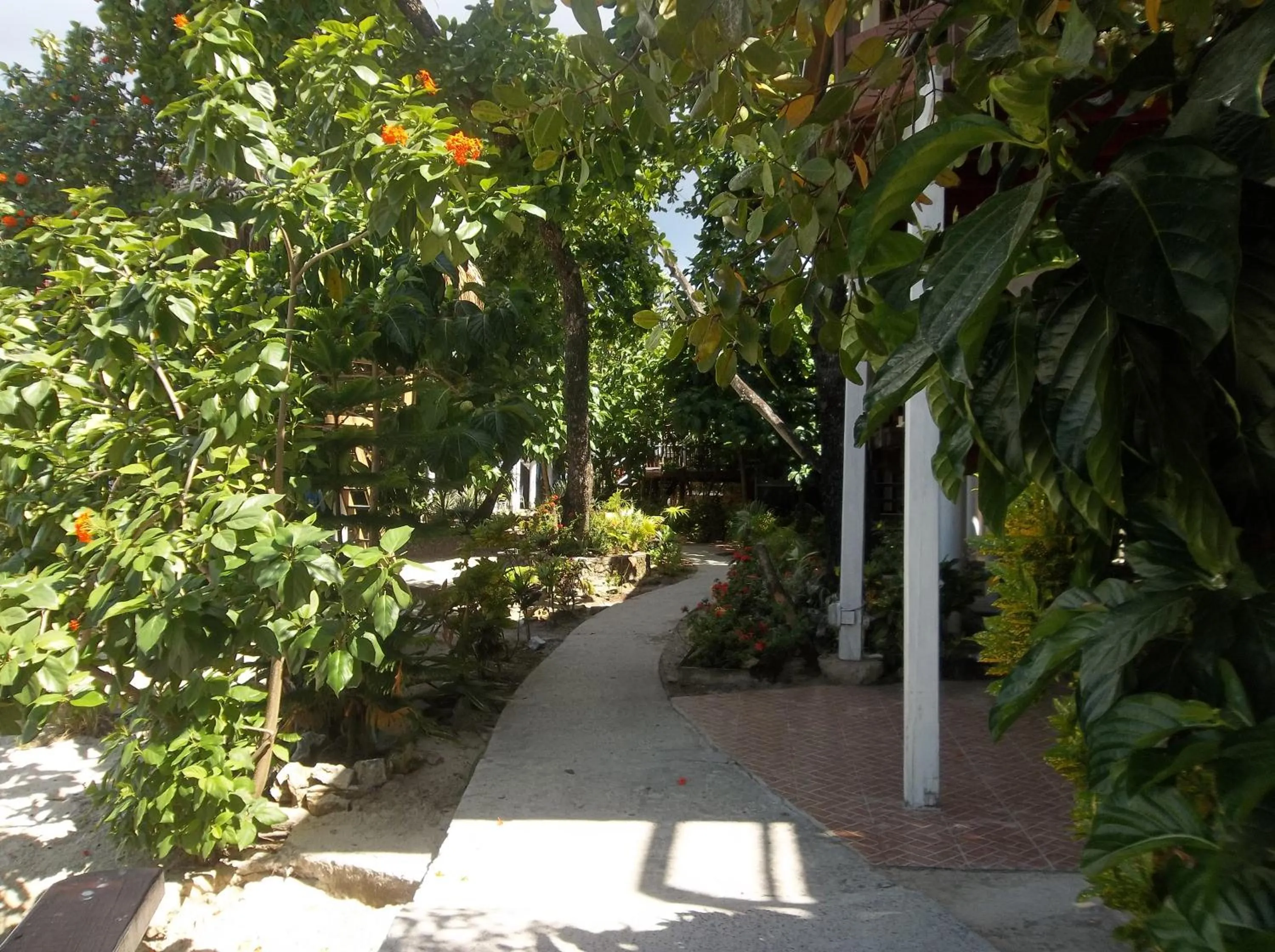 Garden in Fosters West Bay Resort