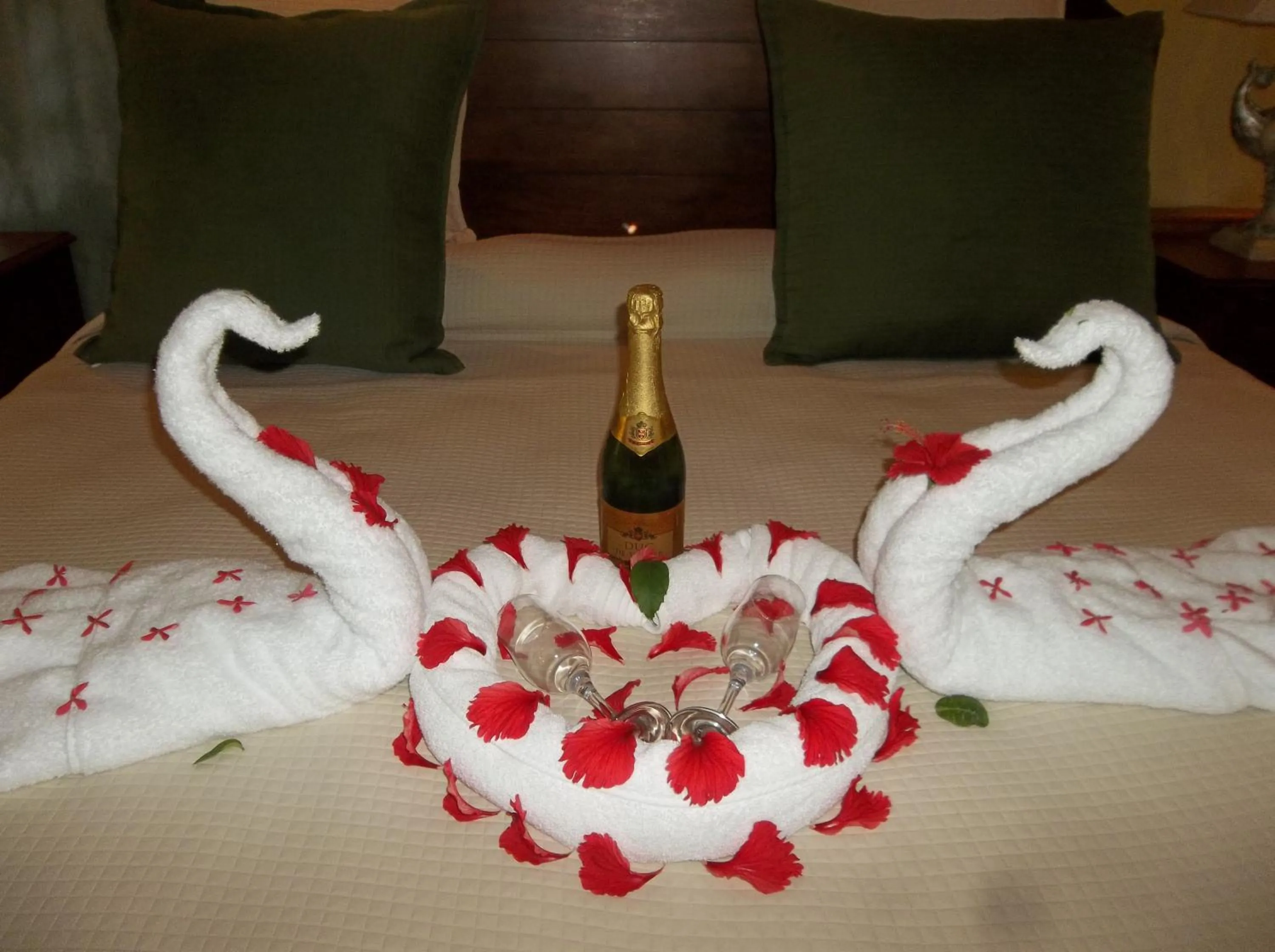 Bed in Fosters West Bay Resort