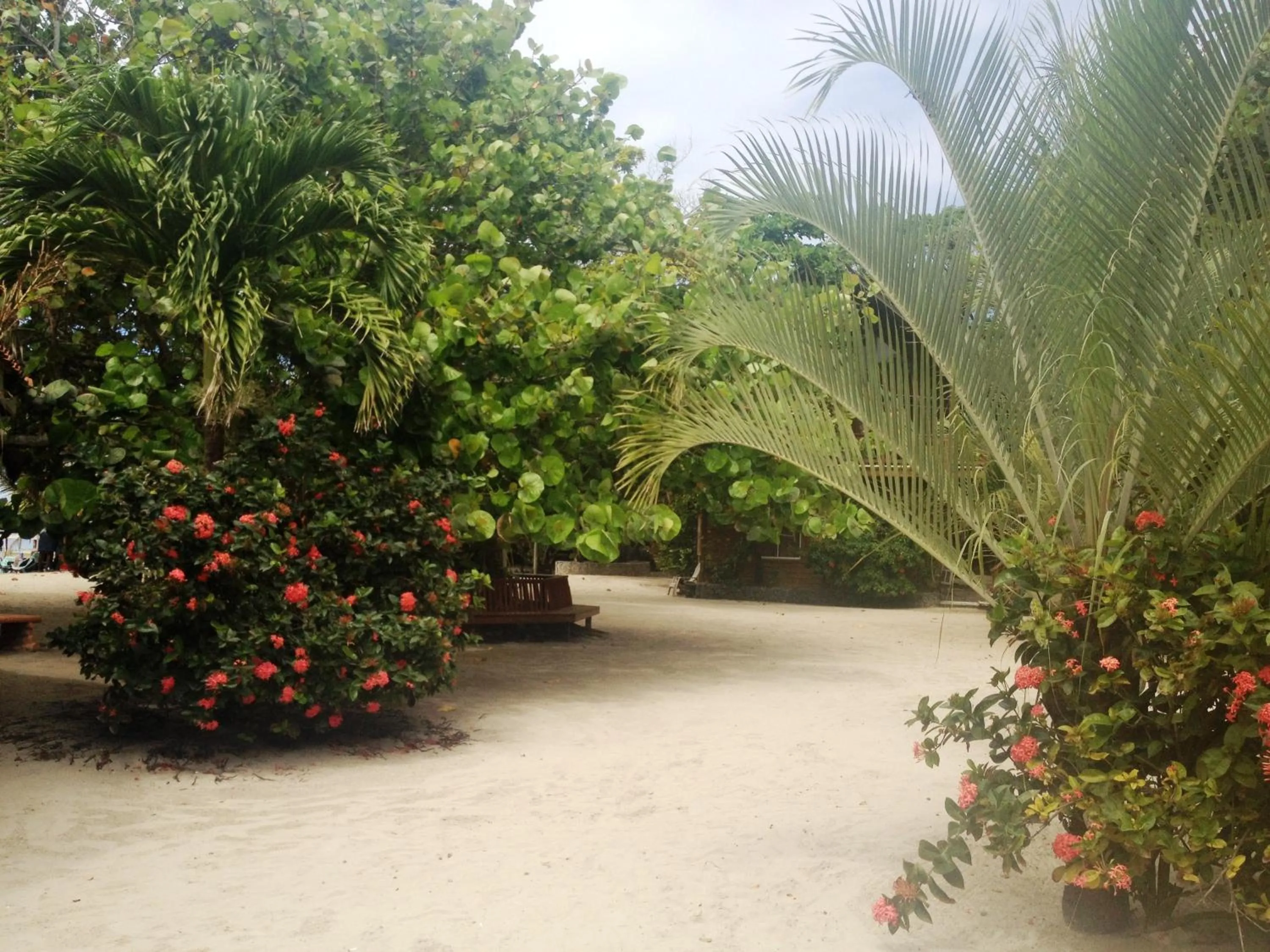 Area and facilities in Fosters West Bay Resort