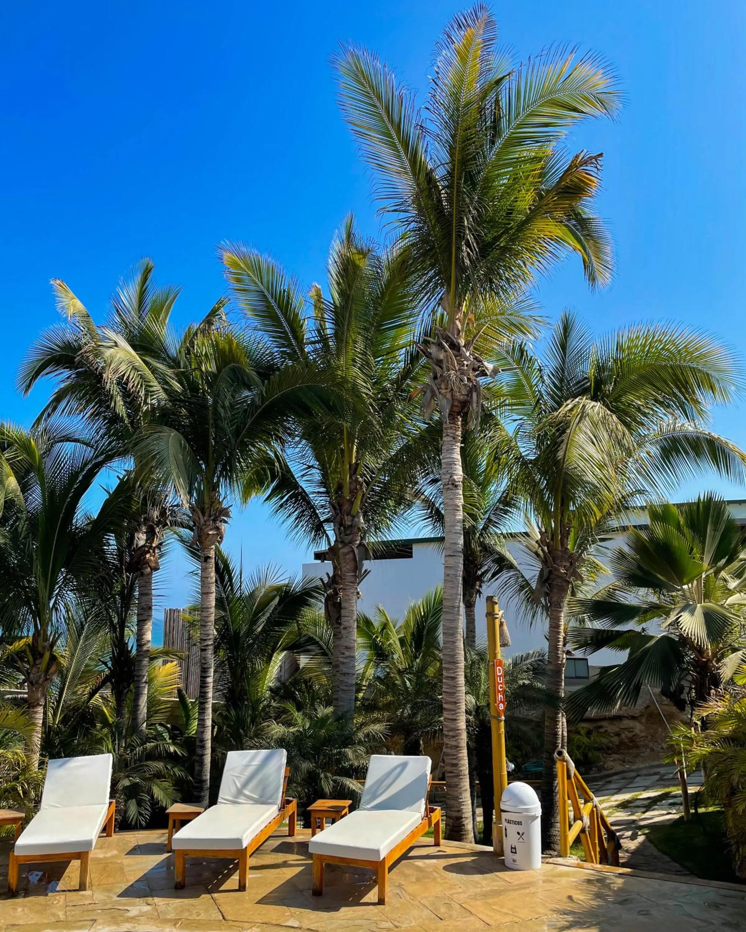 El Mirador de Vichayito