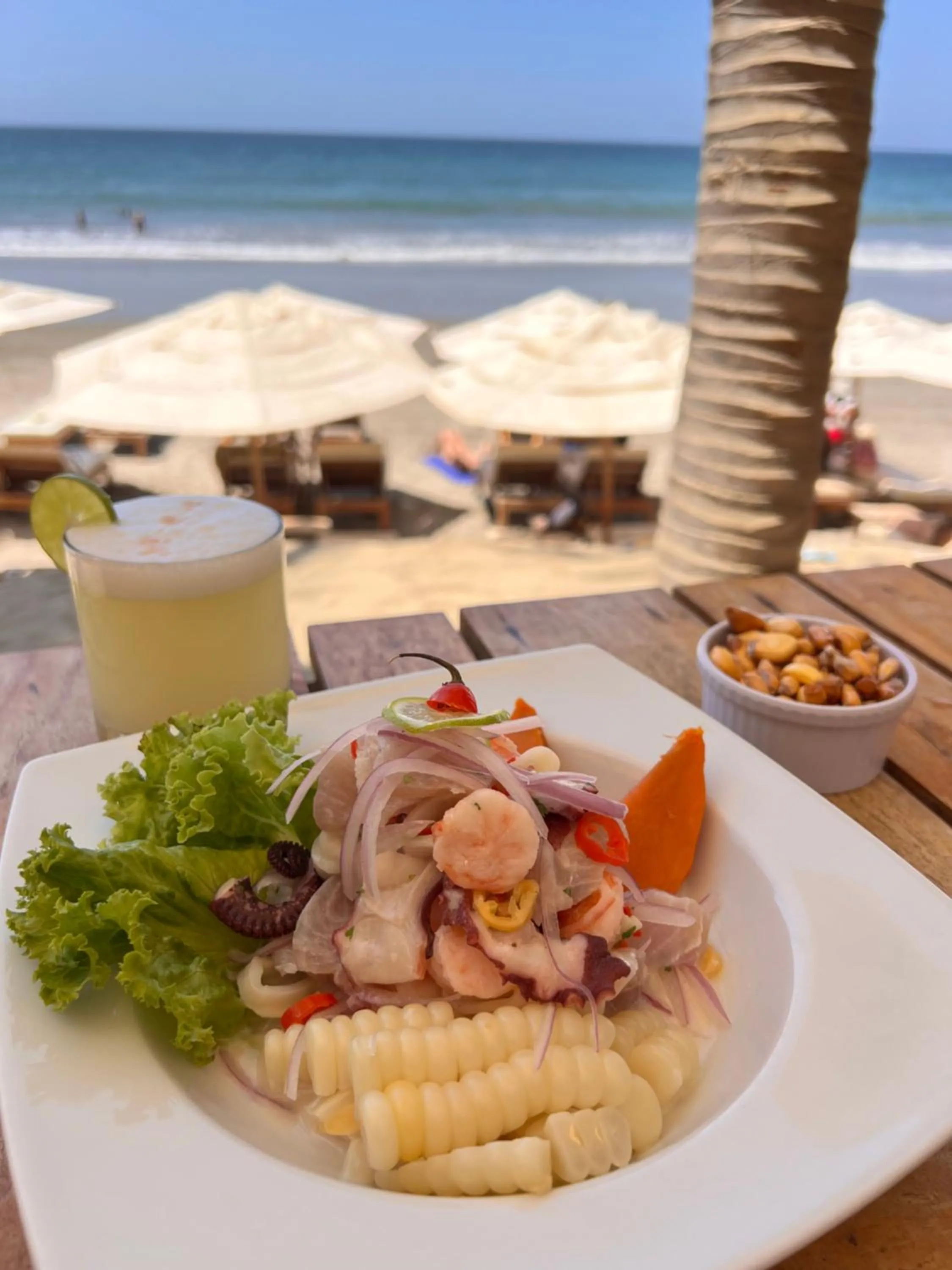 El Mirador de Vichayito