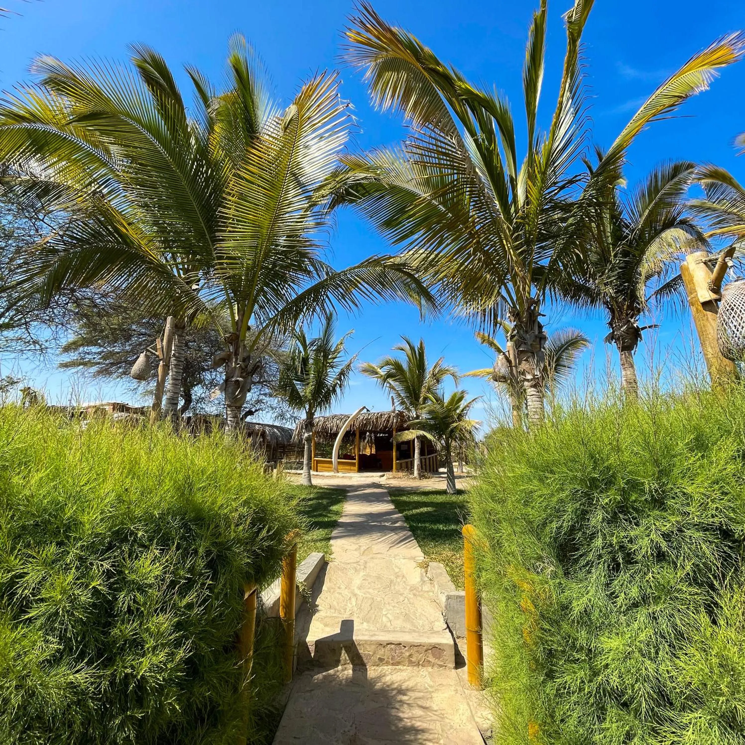 El Mirador de Vichayito