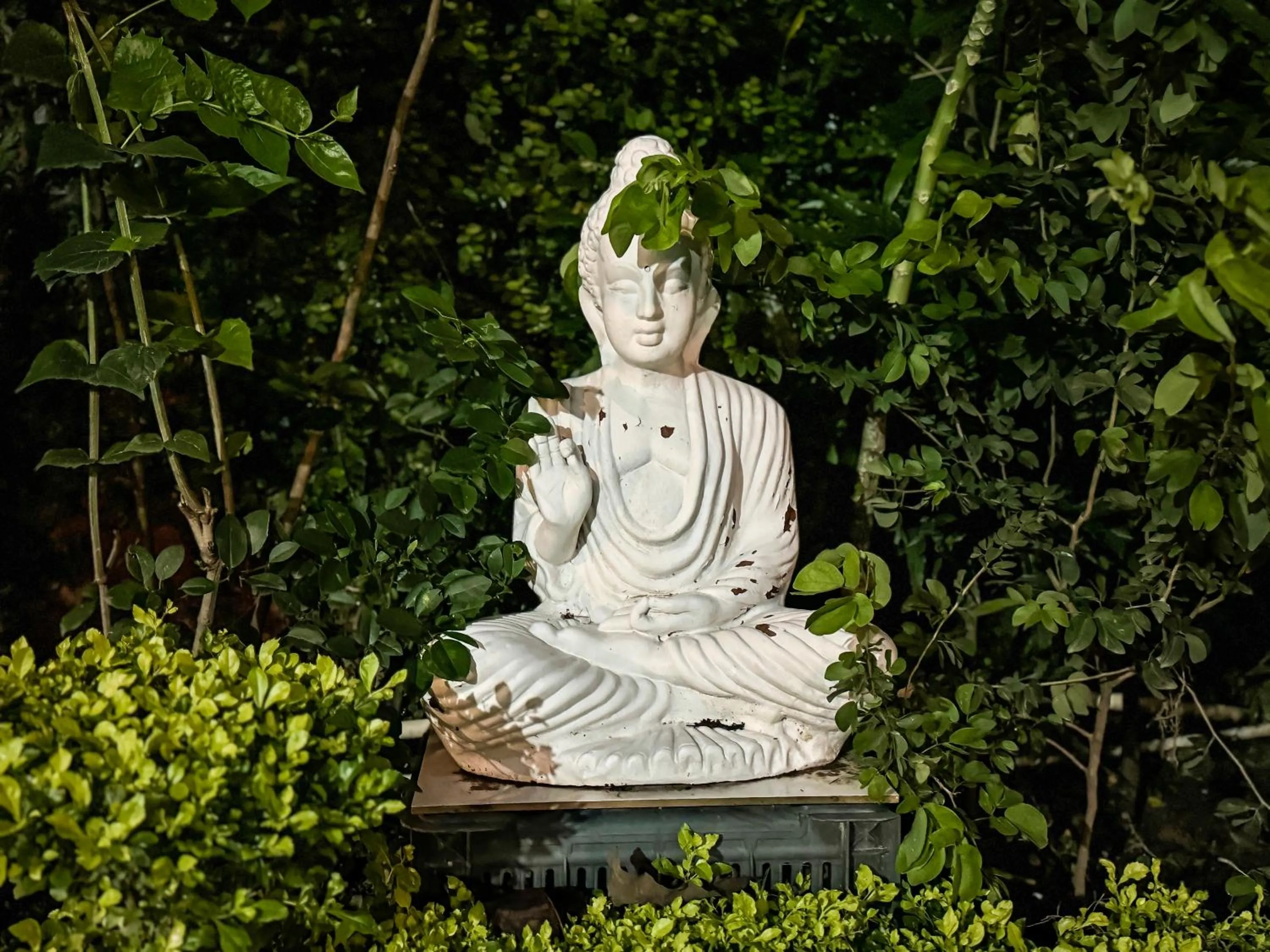 Garden in Arogyadham Wellness Retreat