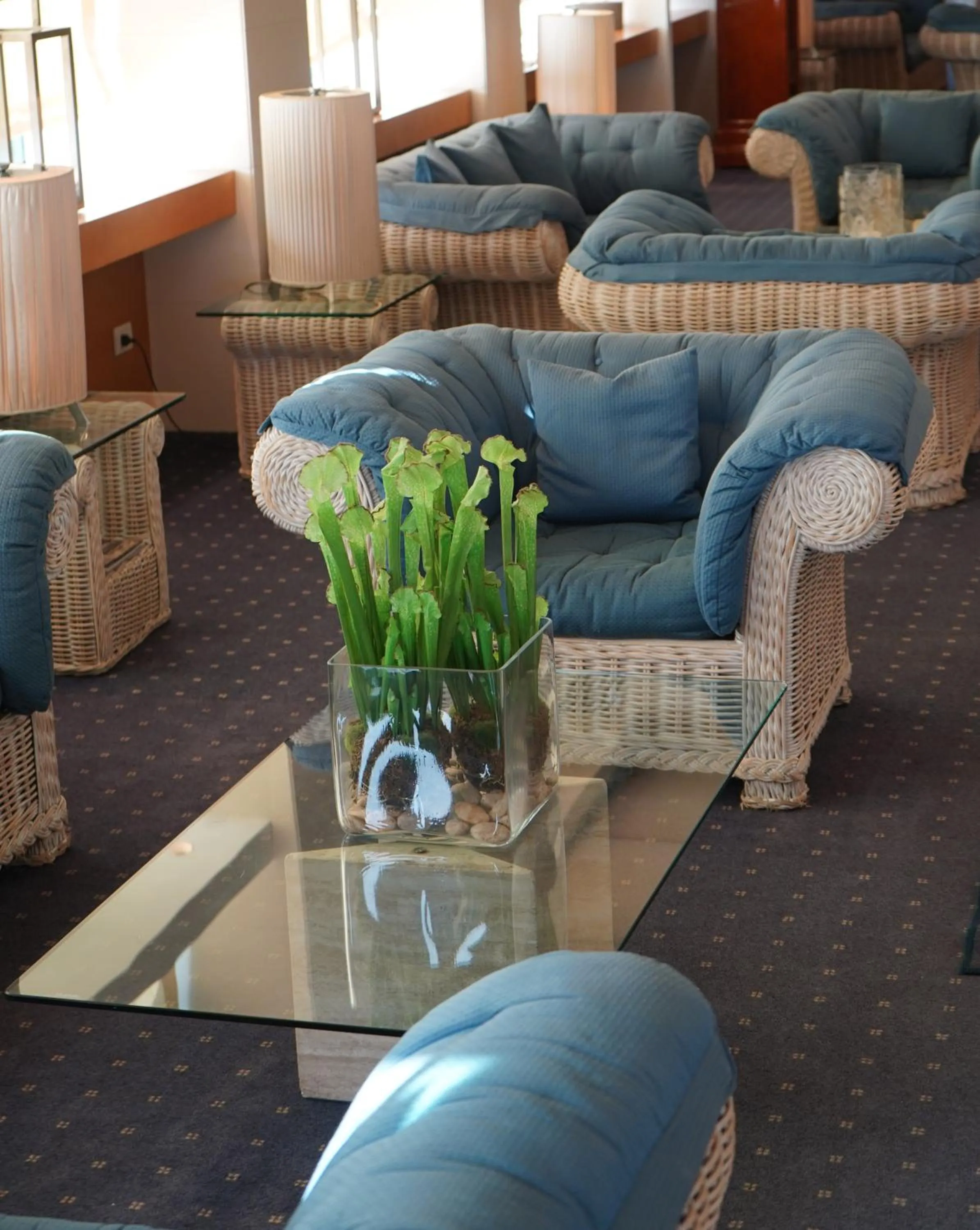 Lobby or reception in Hotel Lungomare