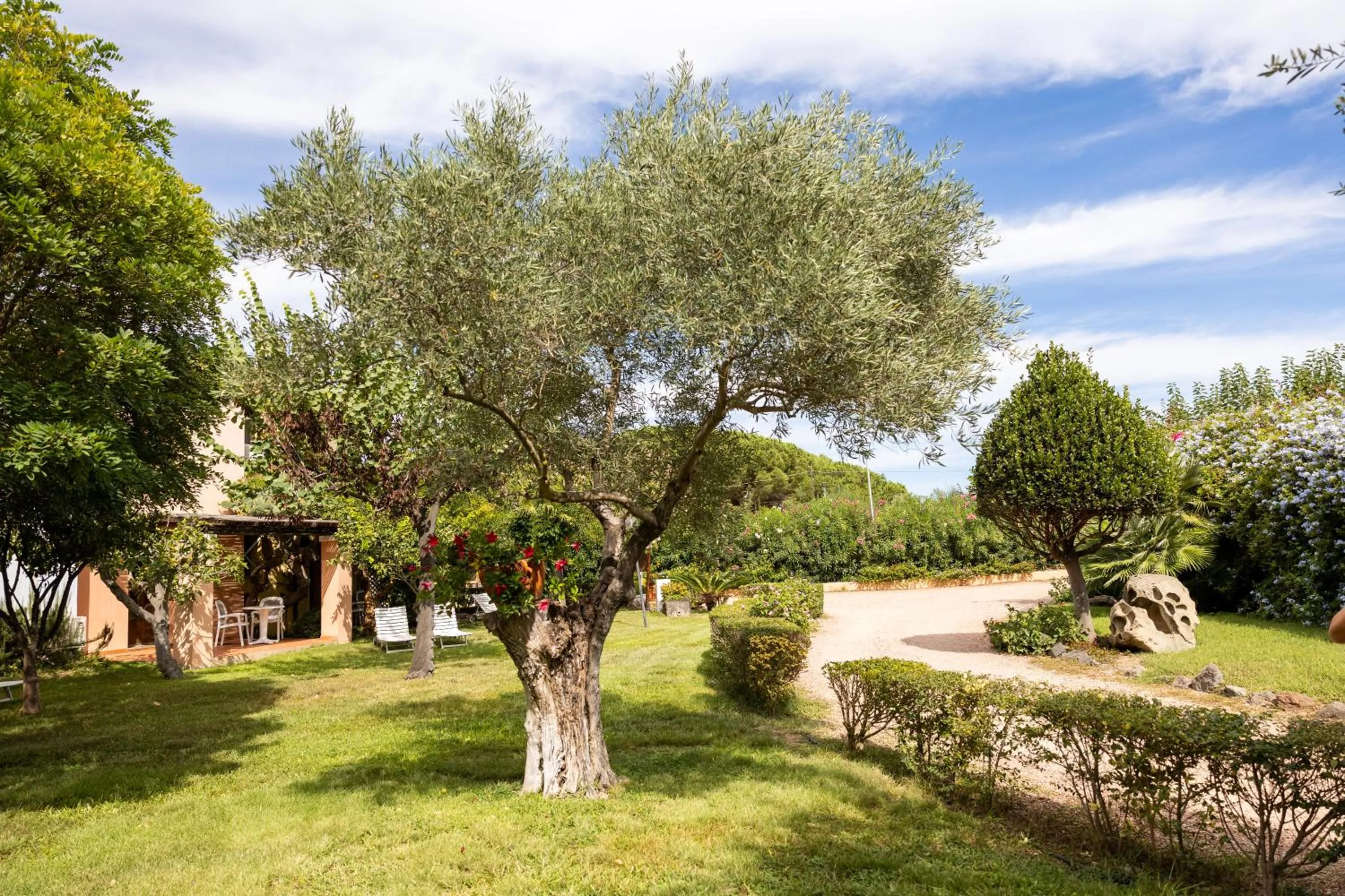 Garden in Hotel la Torre