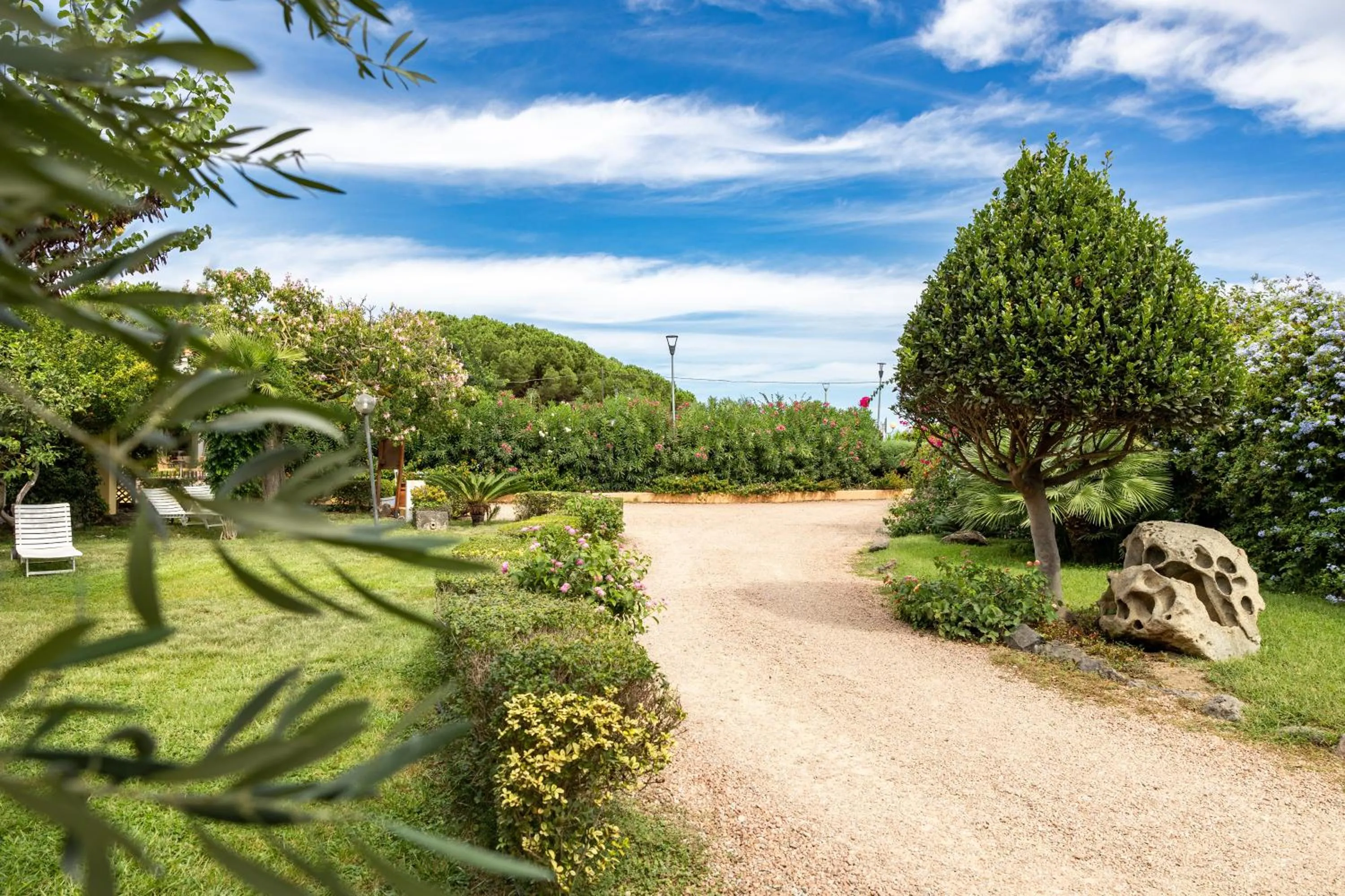 Garden in Hotel la Torre