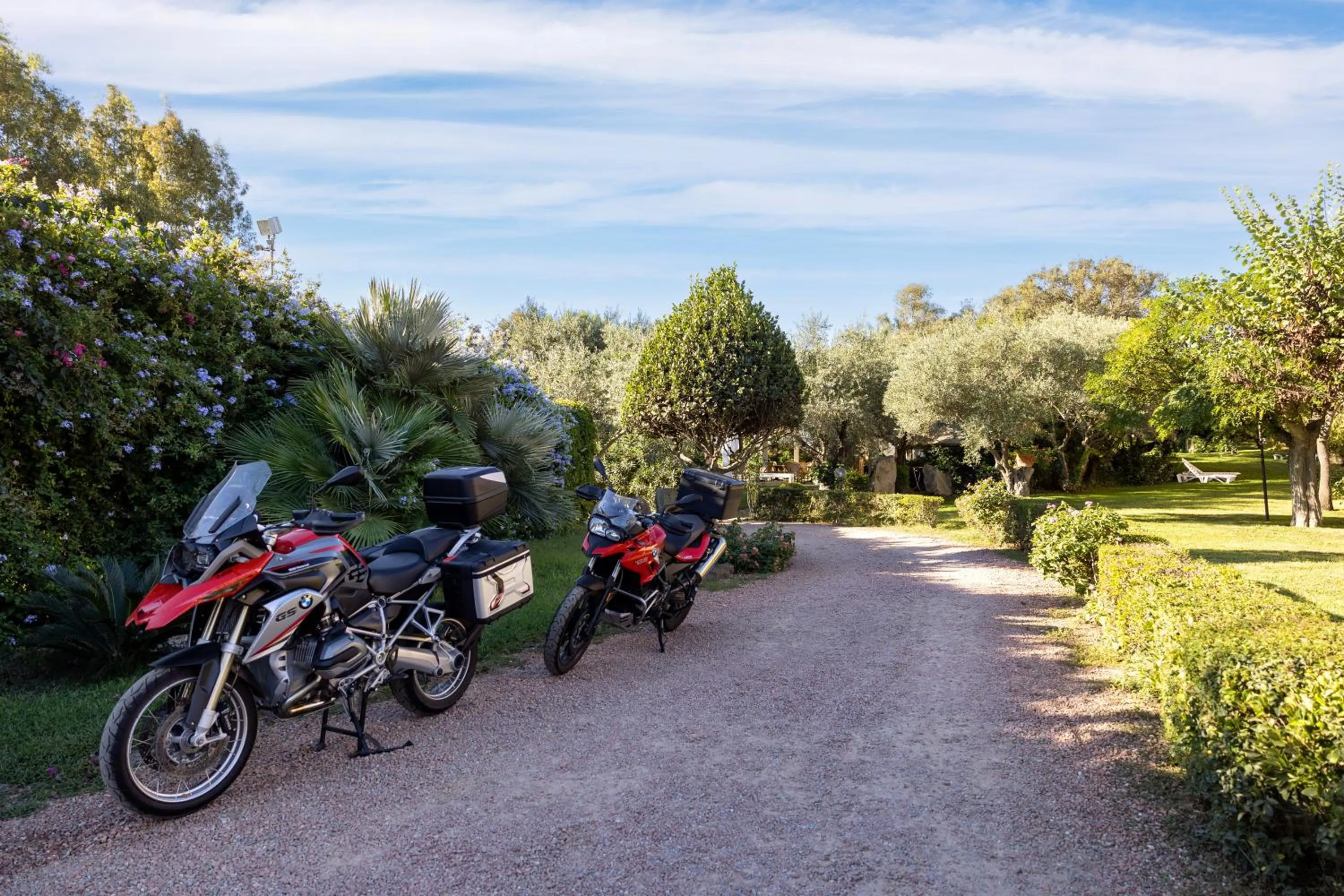 Garden in Hotel la Torre