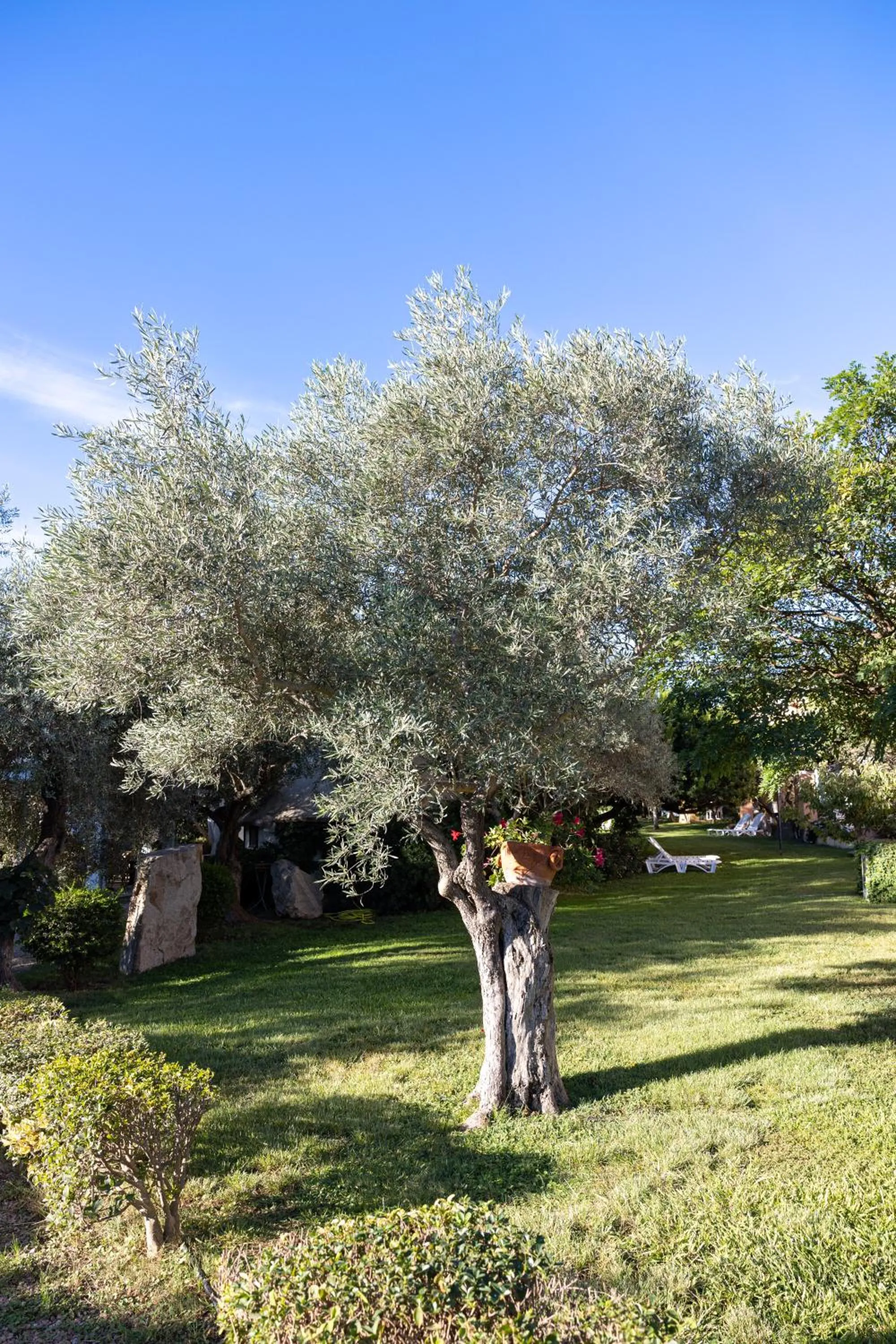 Garden in Hotel la Torre