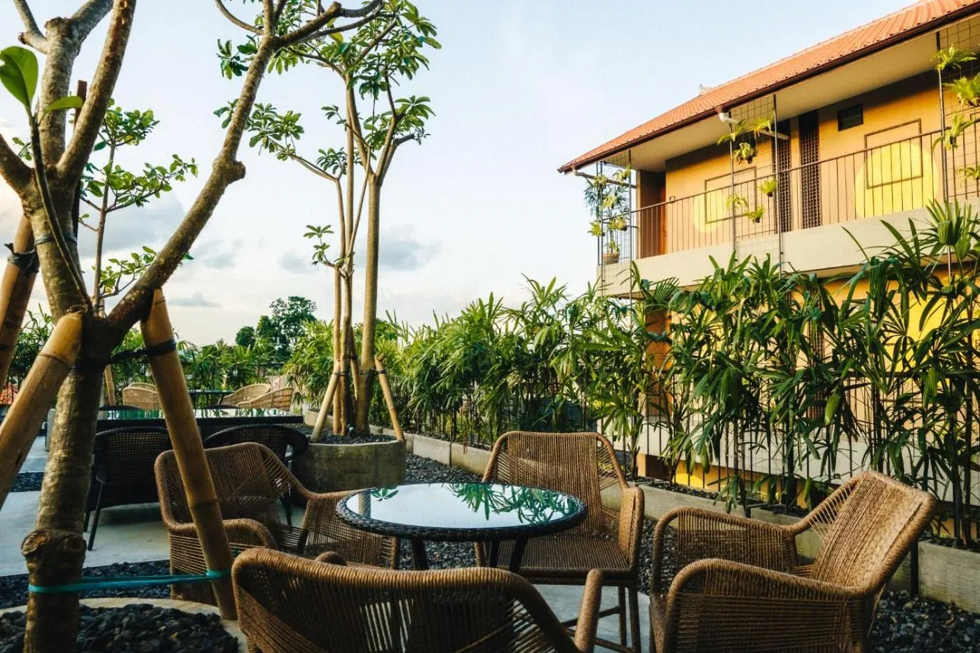 Garden in Tanaga CoLiving