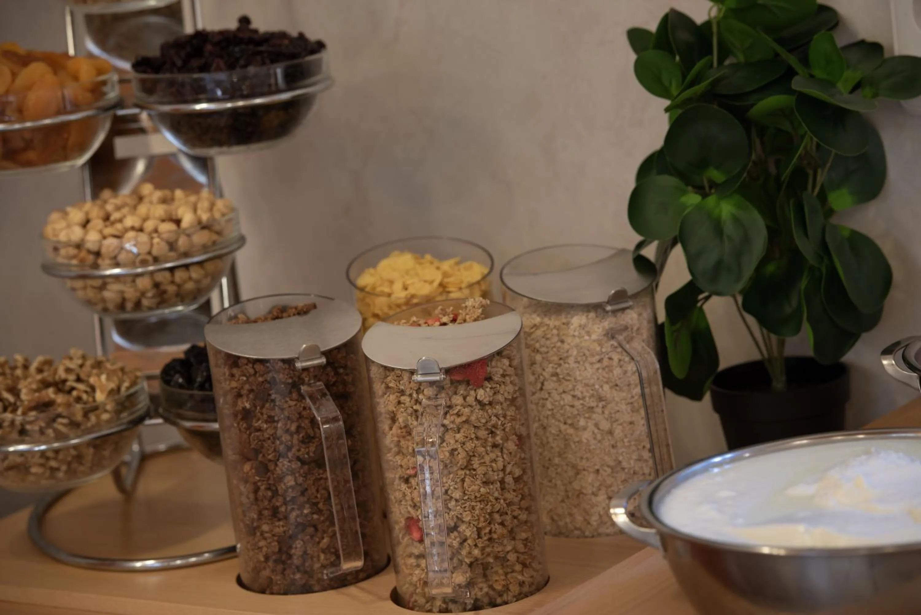 Prague Season Three Stars