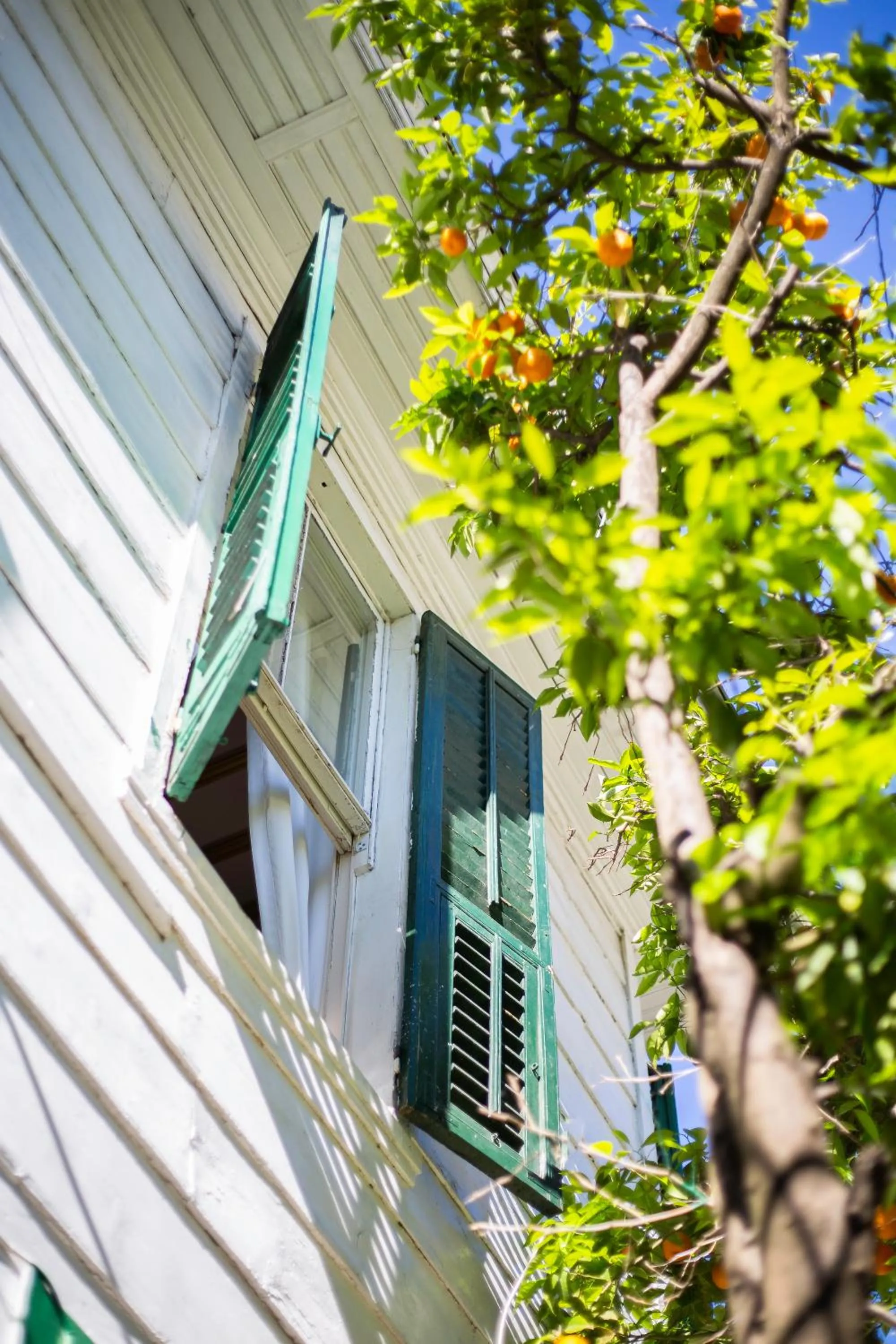 View (from property/room) in No16 Ada