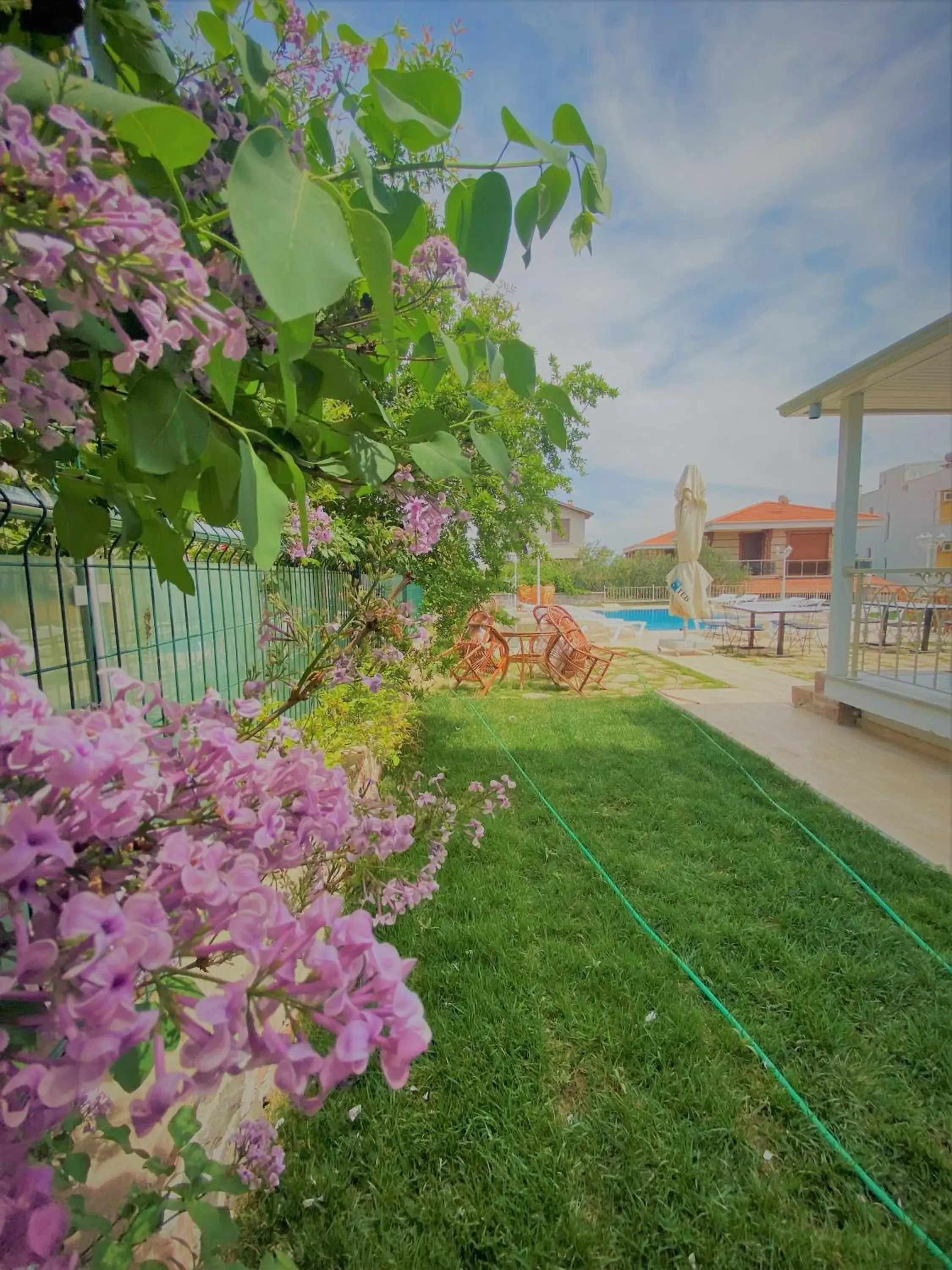 Swimming pool in Cunda Kordon Otel Swimming pool in Cunda Kordon Otel