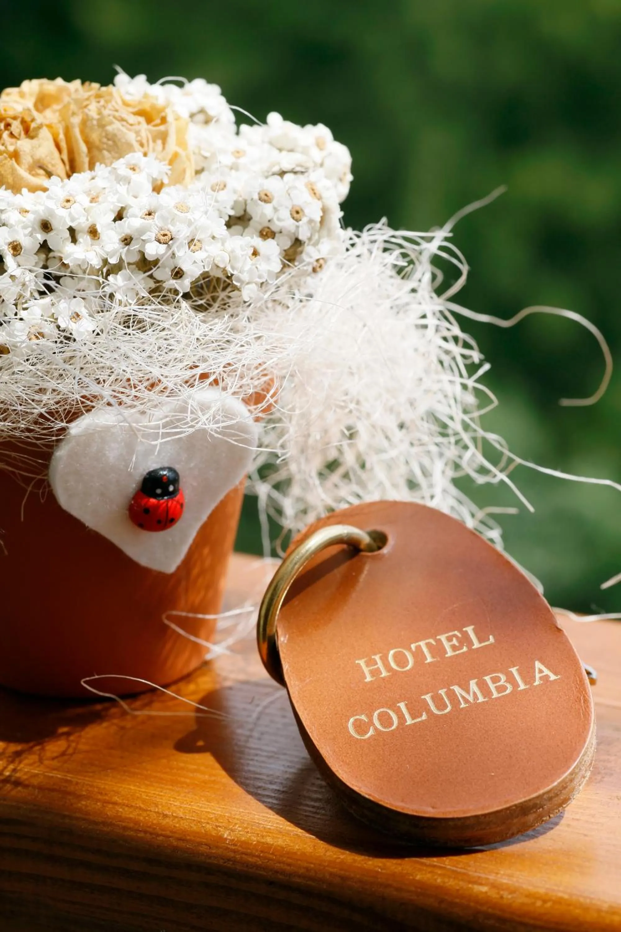 Text overlay in Hotel Columbia & Spa