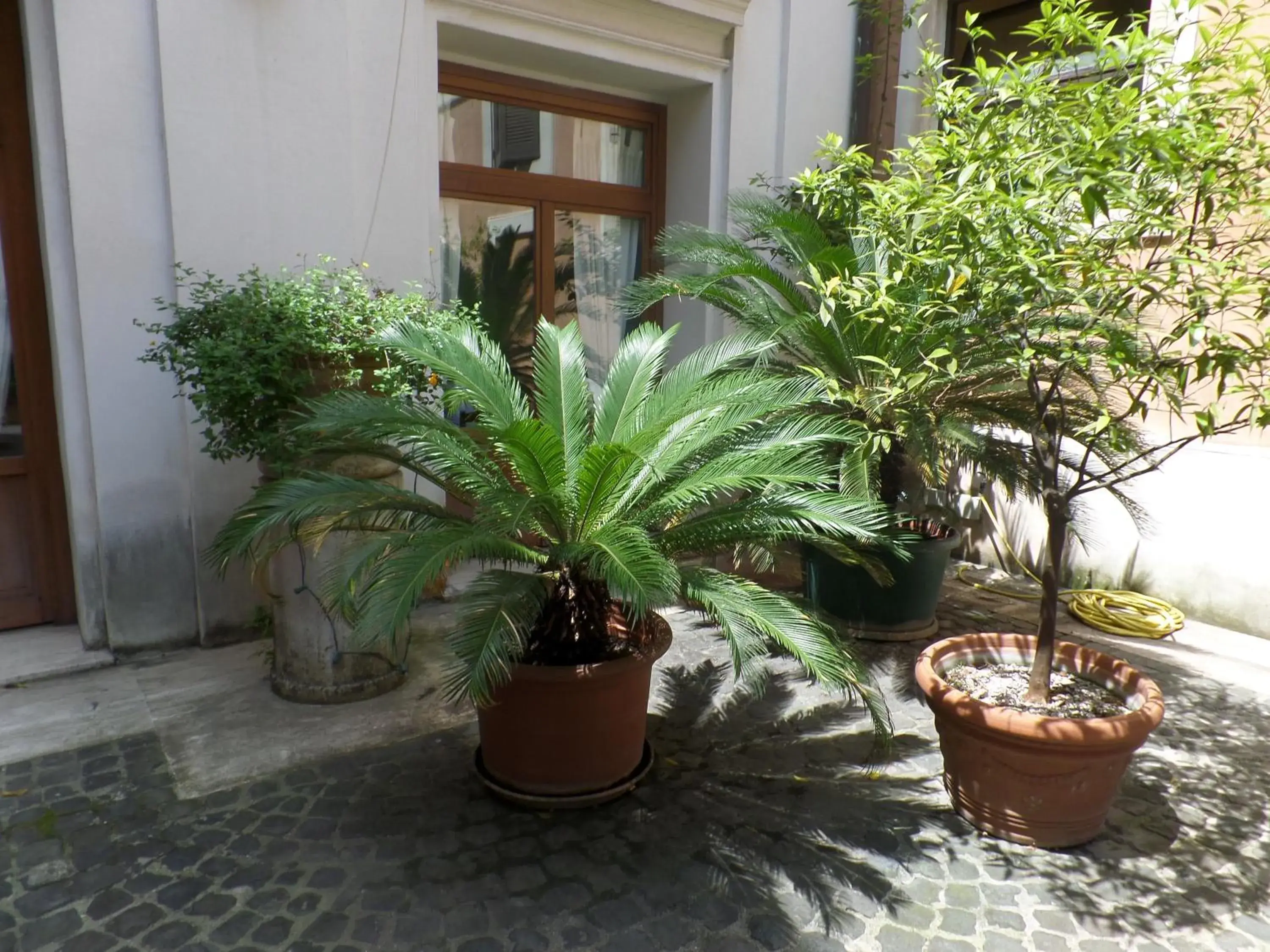 Facade/entrance in Relais Hotel Antico Palazzo Rospigliosi Facade/entrance in Relais Hotel Antico Palazzo Rospigliosi