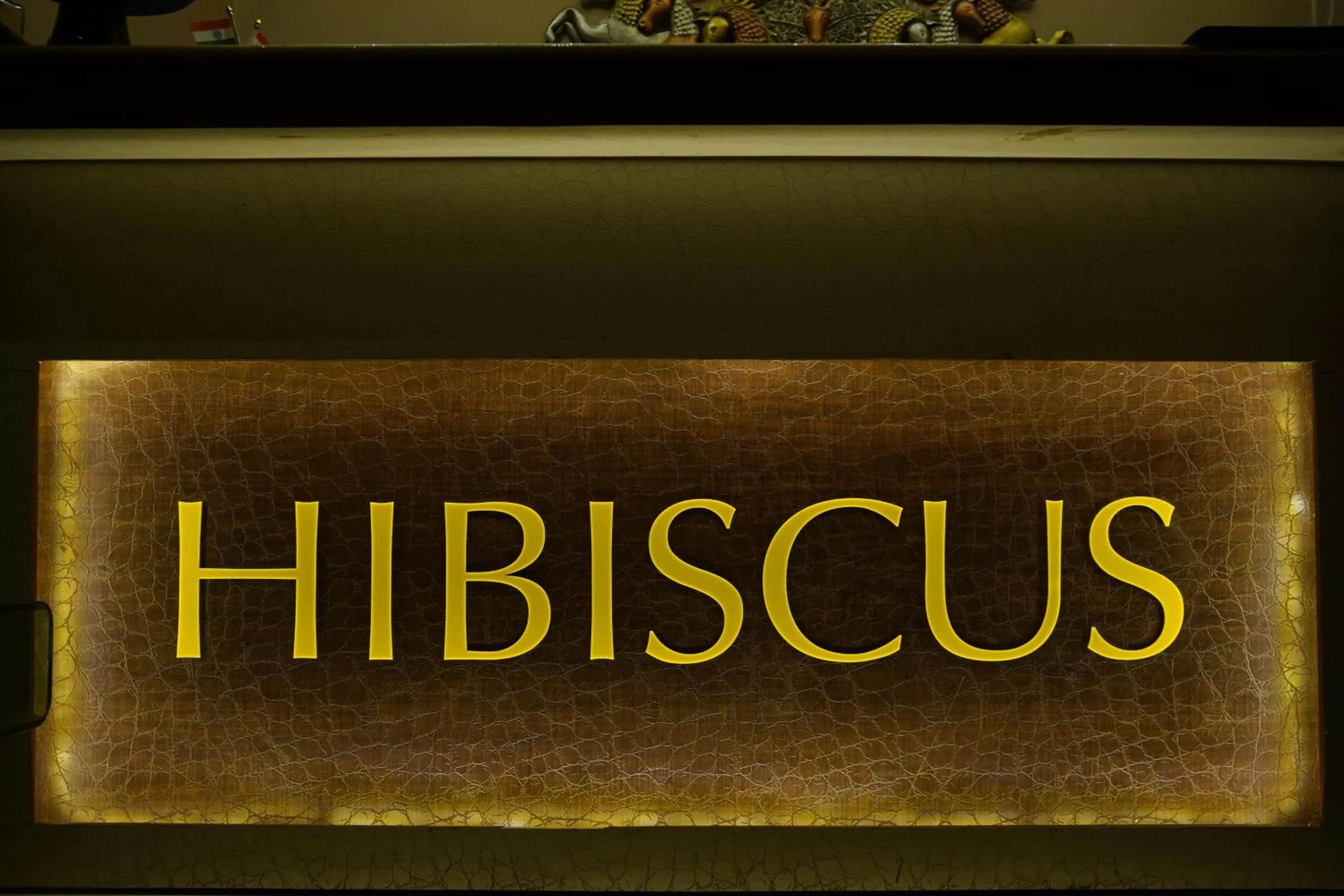 Spa and wellness centre/facilities in Hotel Haveli Palace