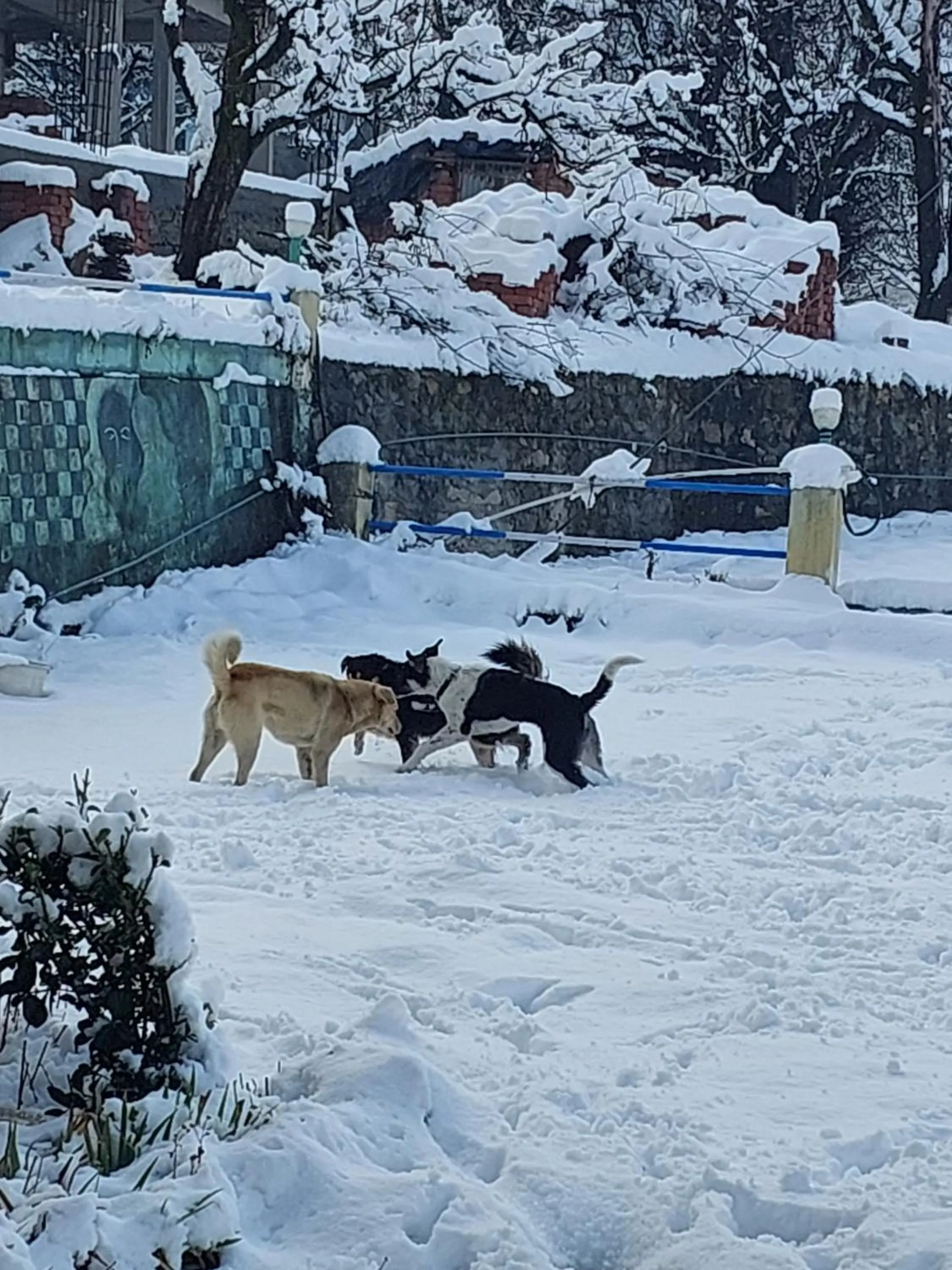 Property building in indian backpackers hostel