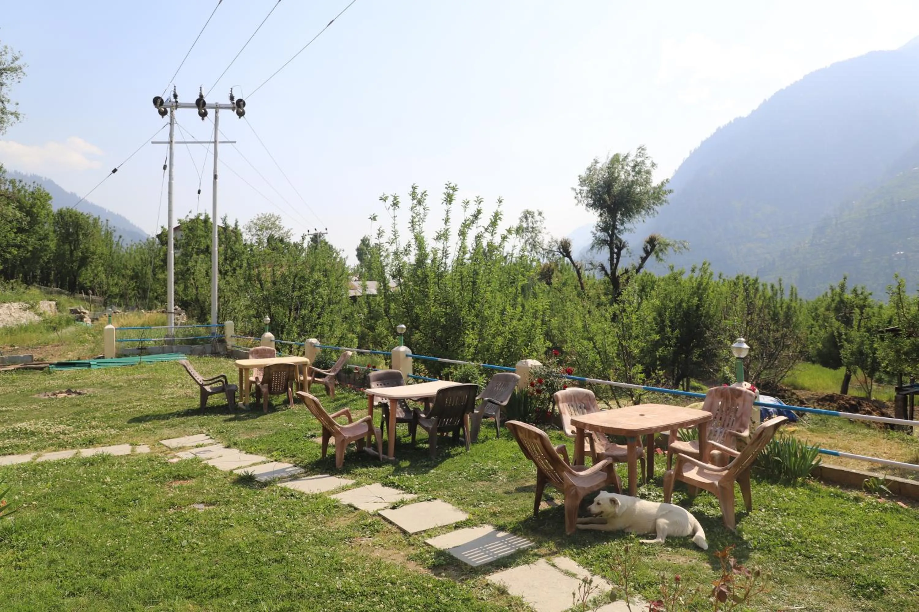 Garden in indian backpackers hostel