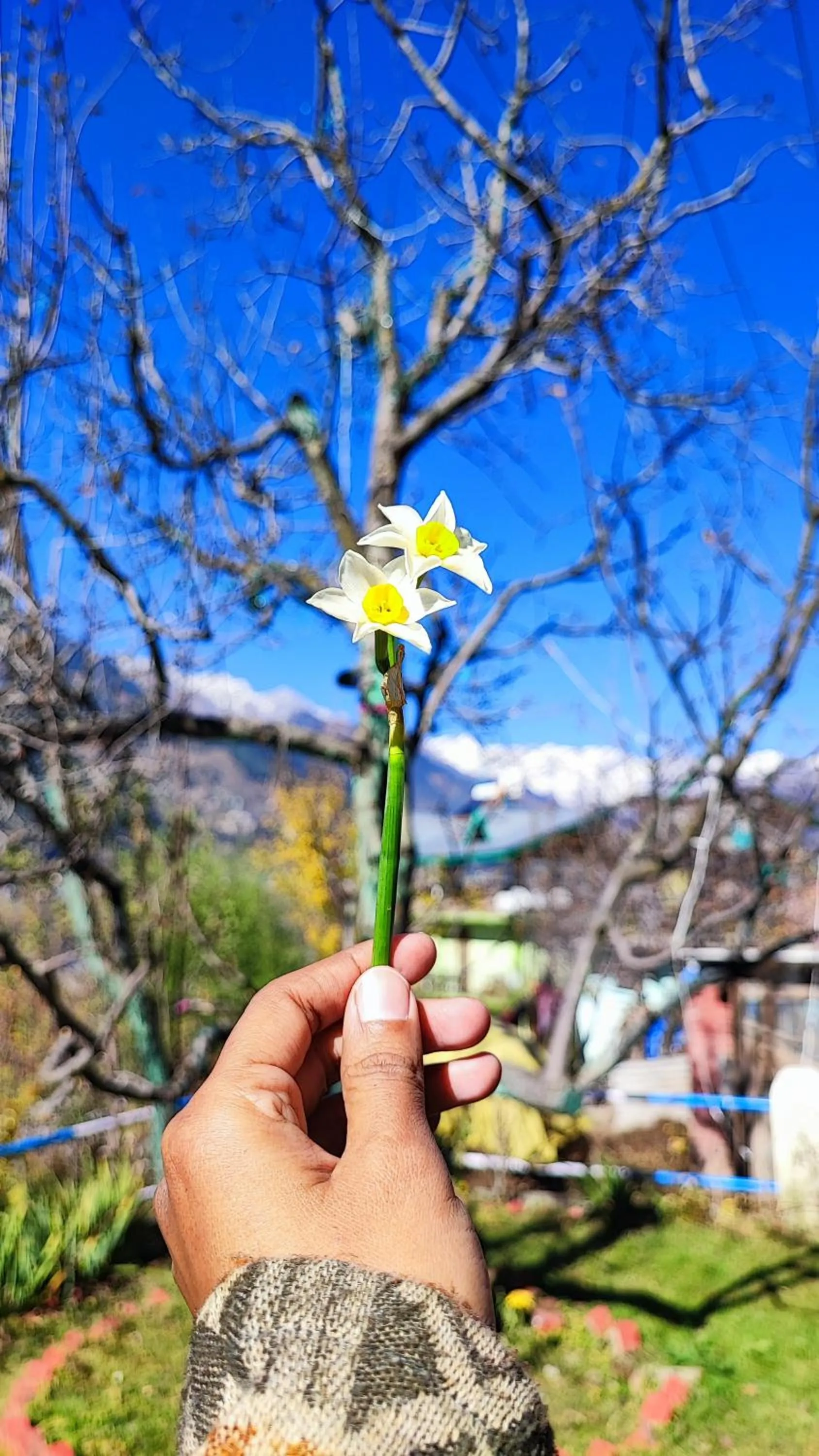 Spring in indian backpackers hostel