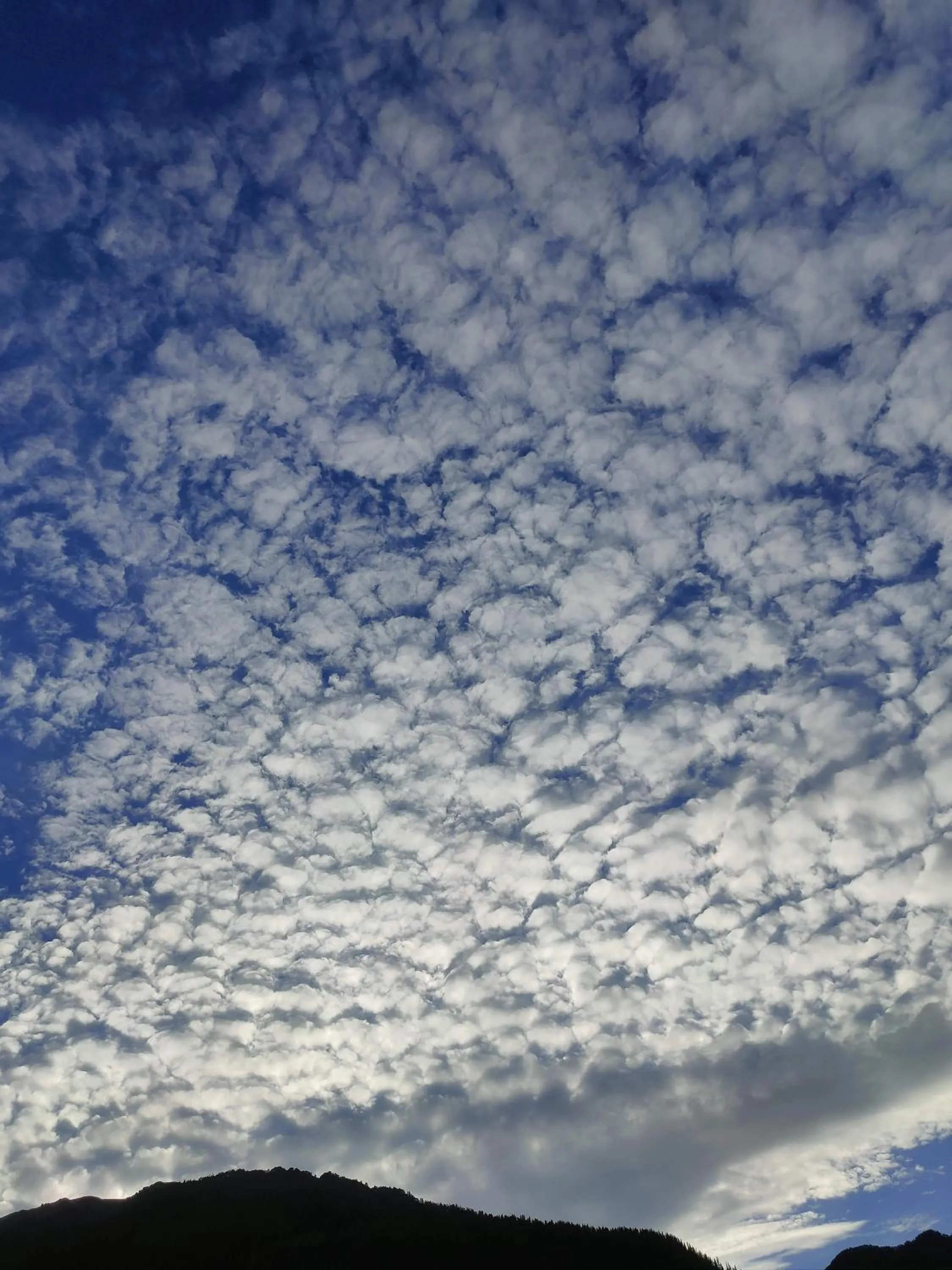 Day in indian backpackers hostel