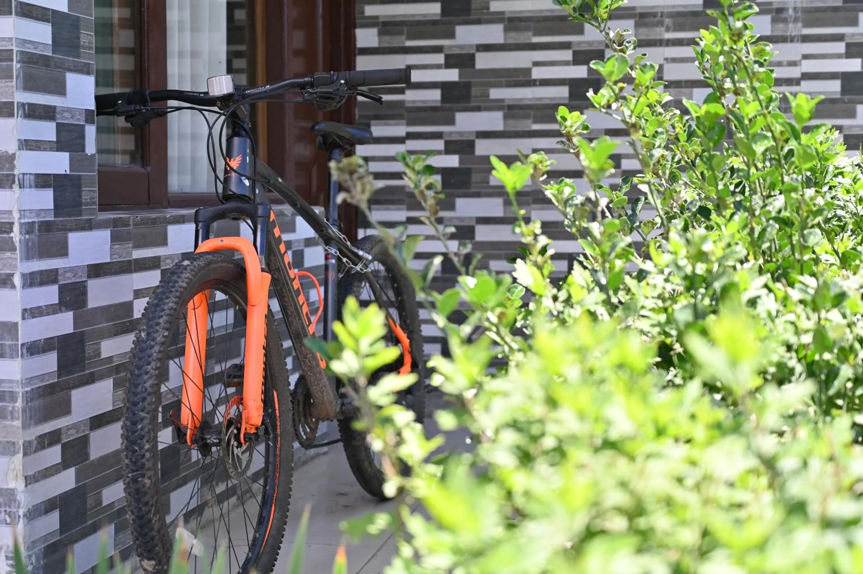 Cycling in indian backpackers hostel