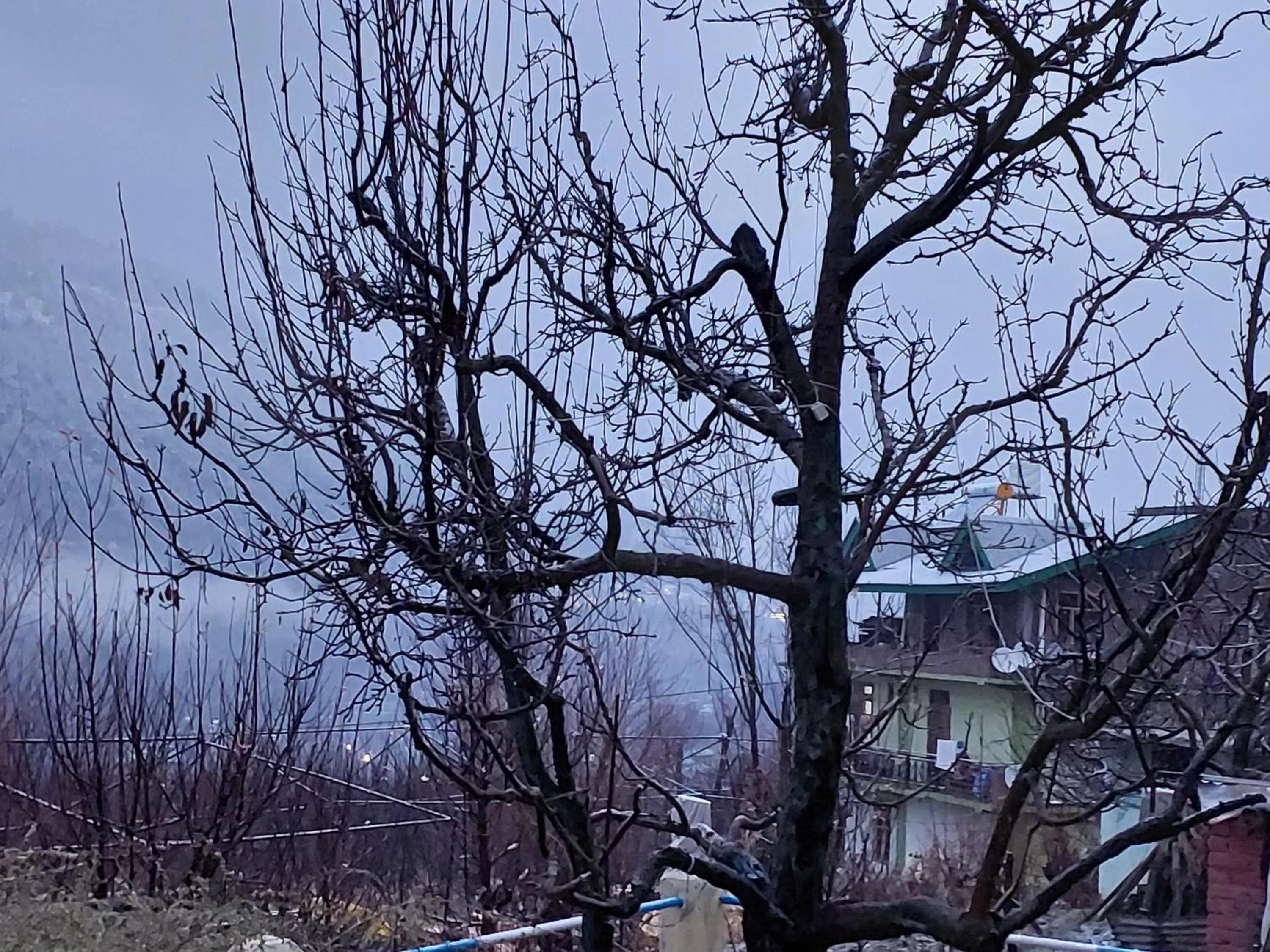 Property building in indian backpackers hostel