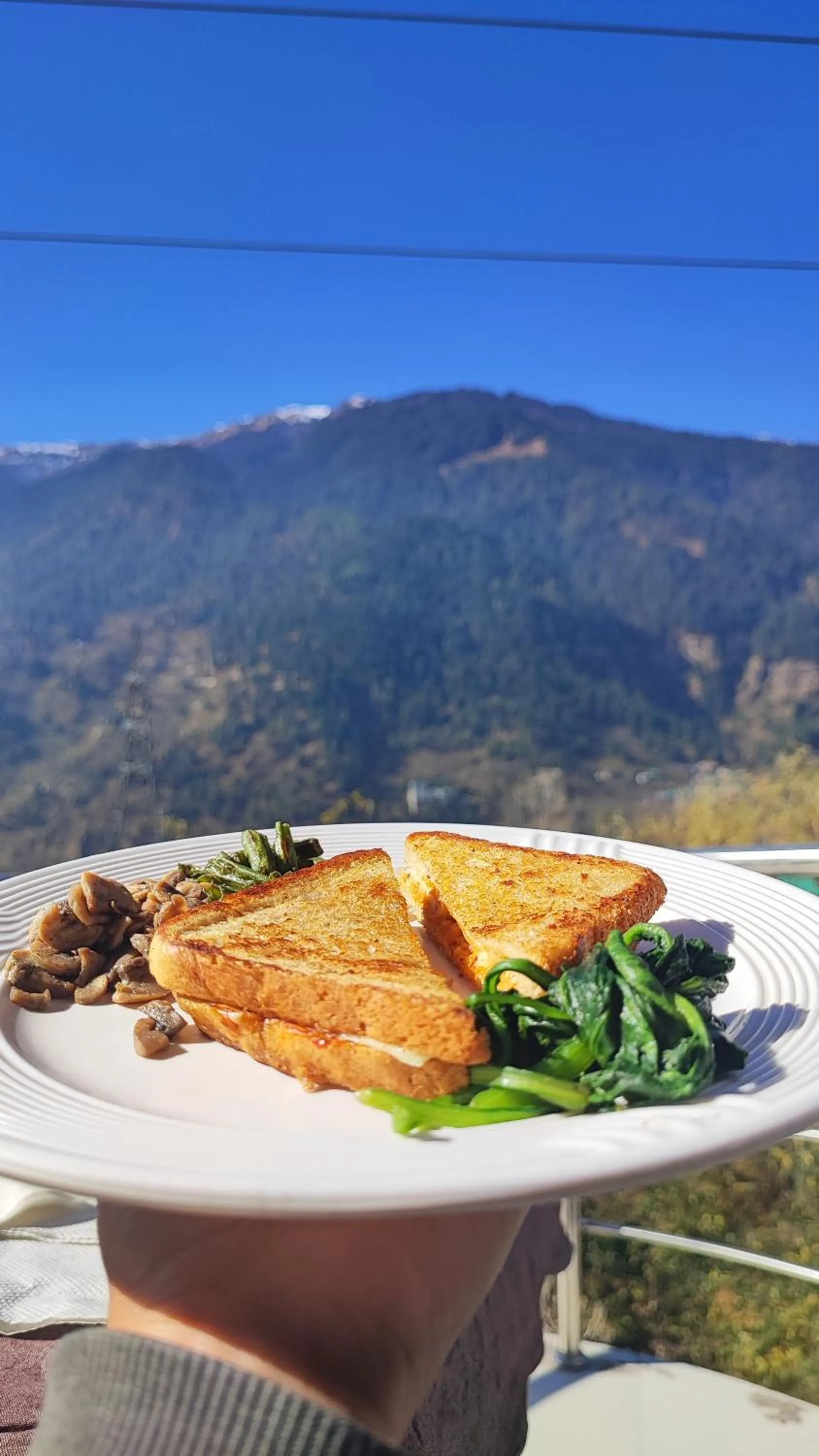 Food and drinks in indian backpackers hostel