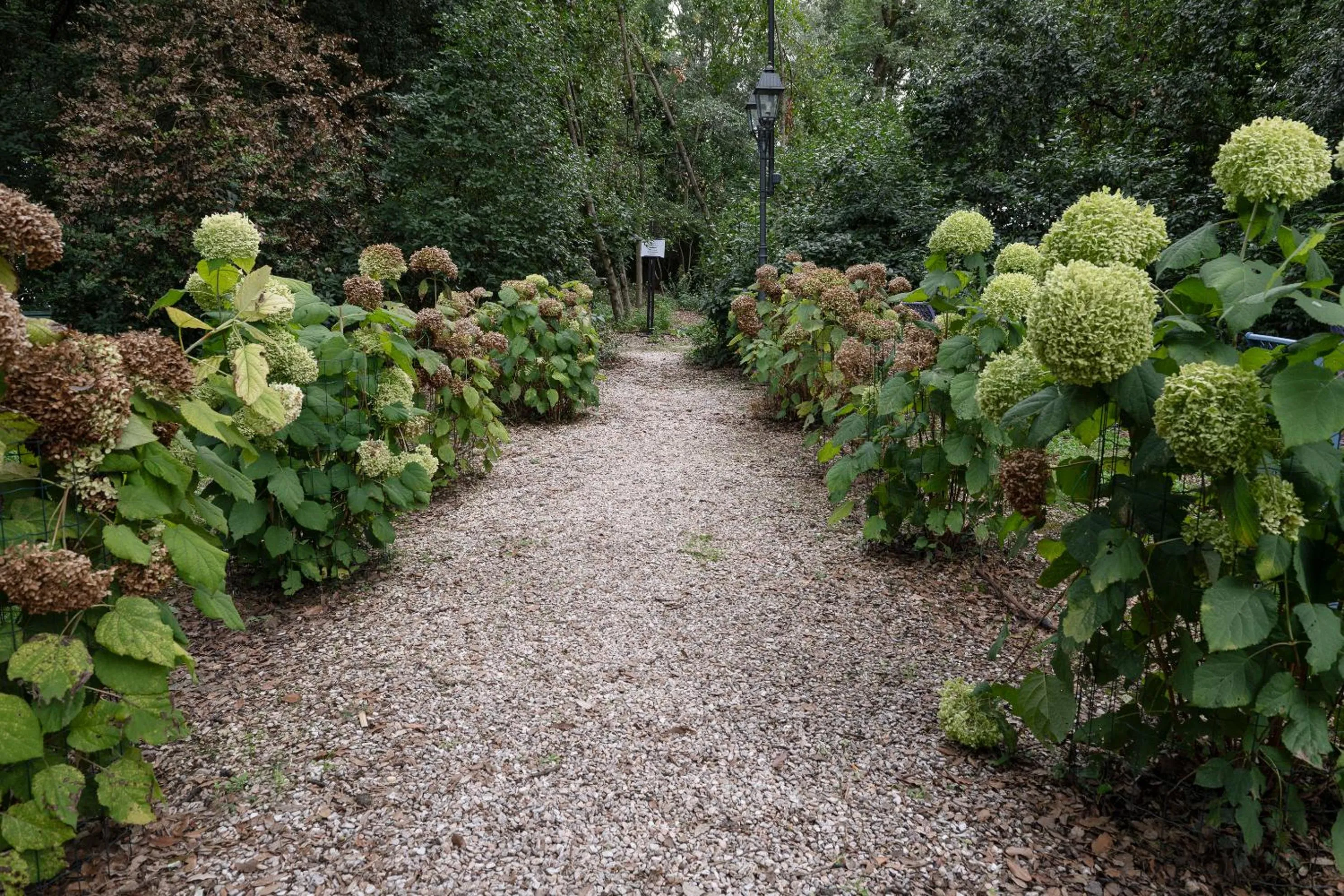 Garden view in Posta Donini 1579 - UNA Esperienze