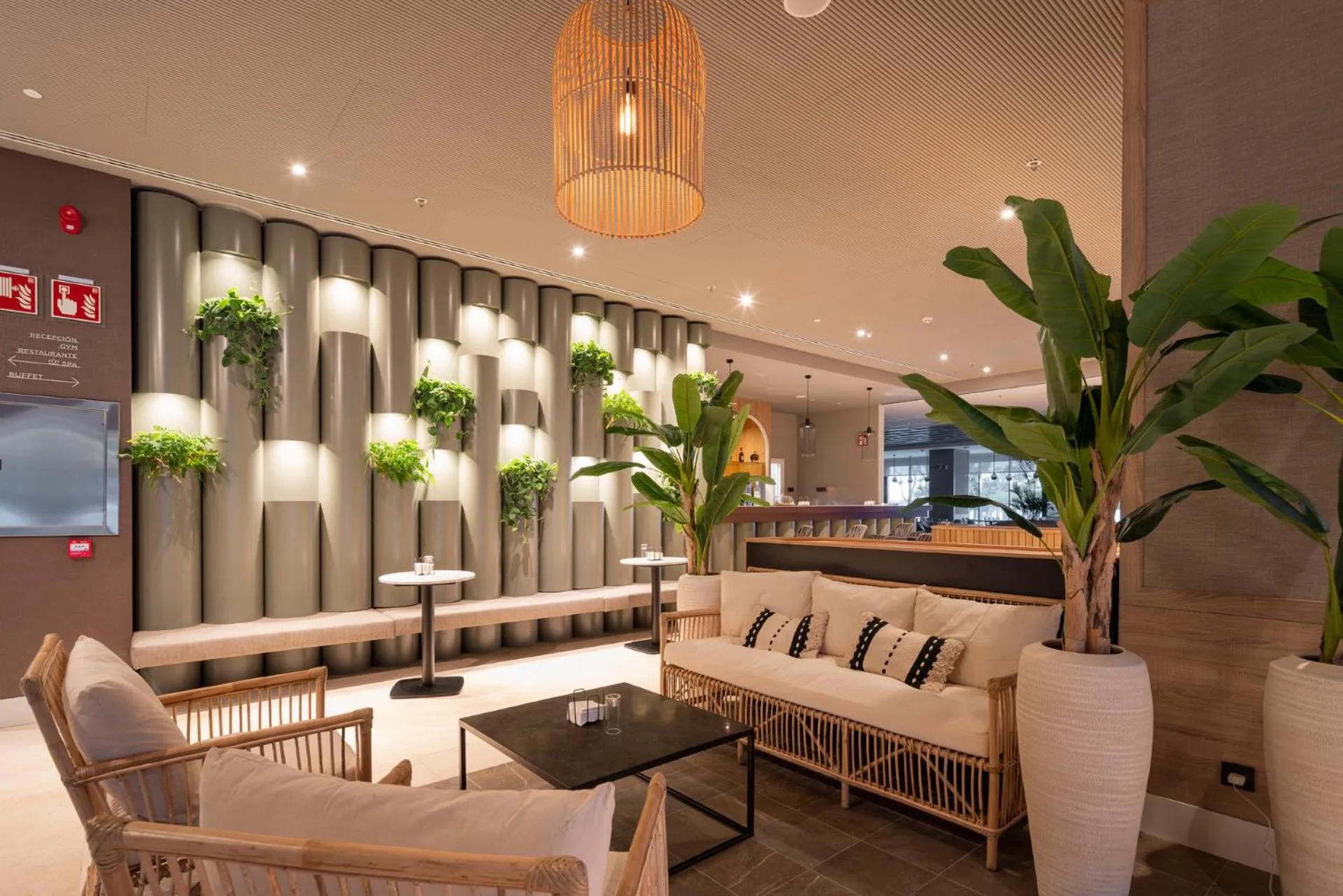 Attica21 Vigo 4 Superior