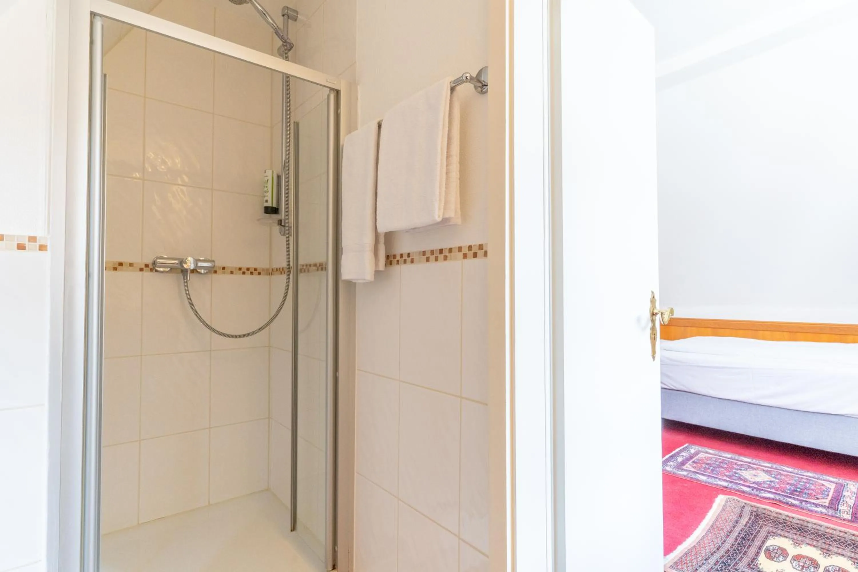 Shower in Hotel zum Ritter