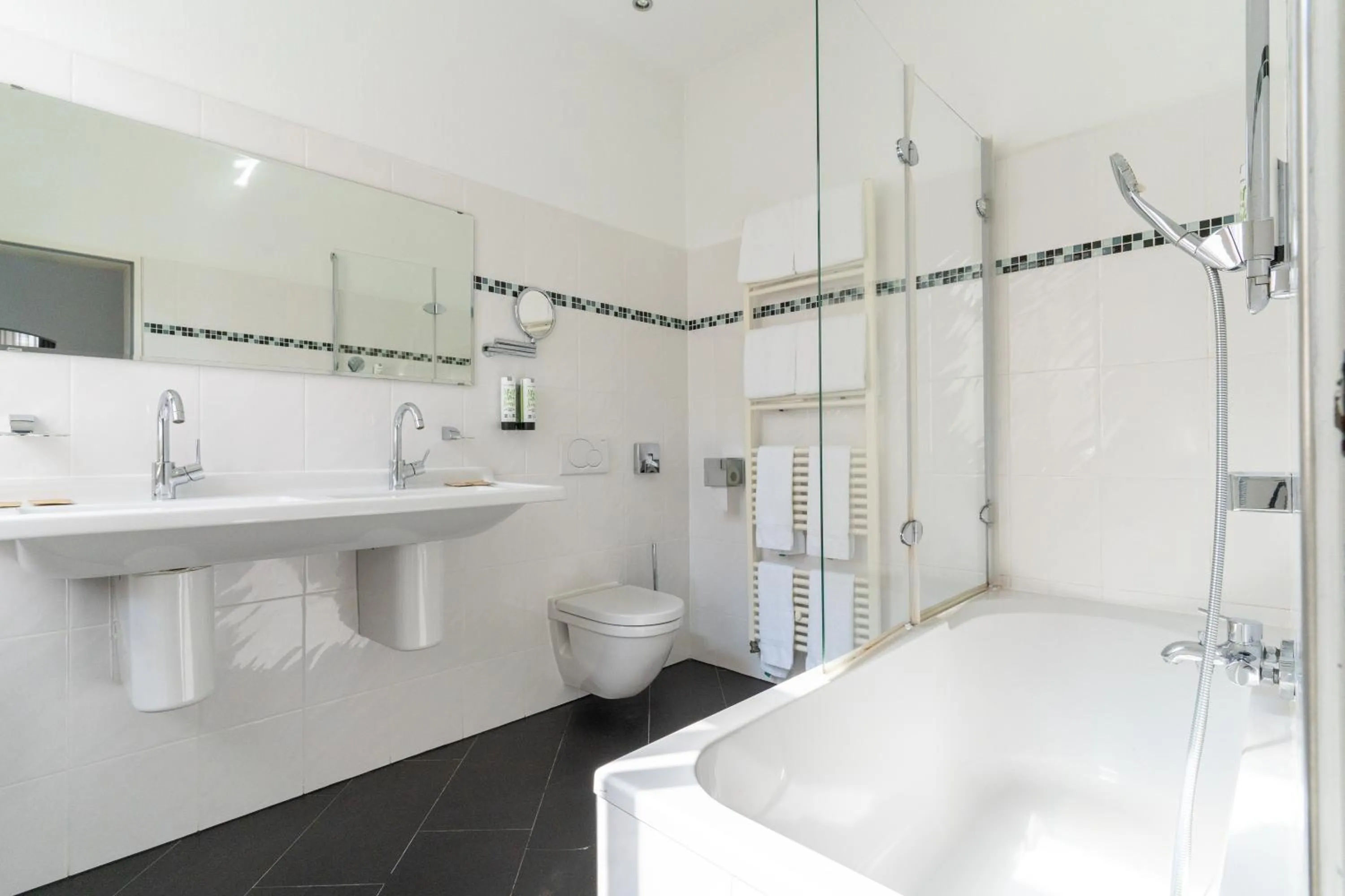 Toilet in Hotel zum Ritter