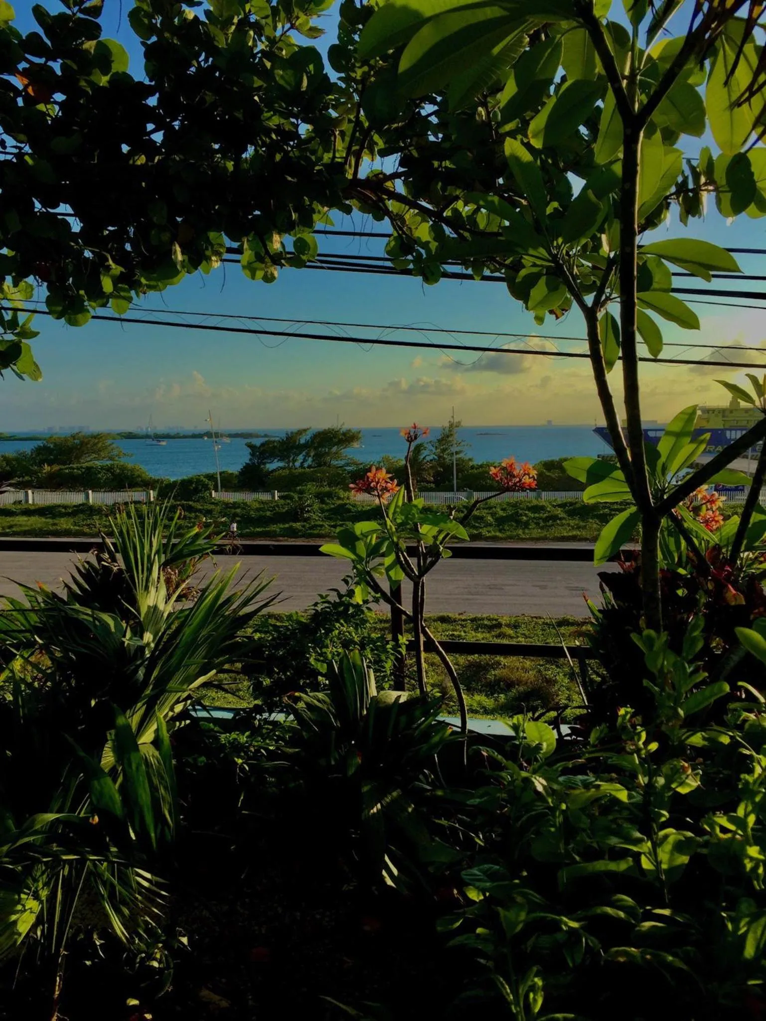 Garden in Casa Cielo Studio 1 with Tropical Garden Patio