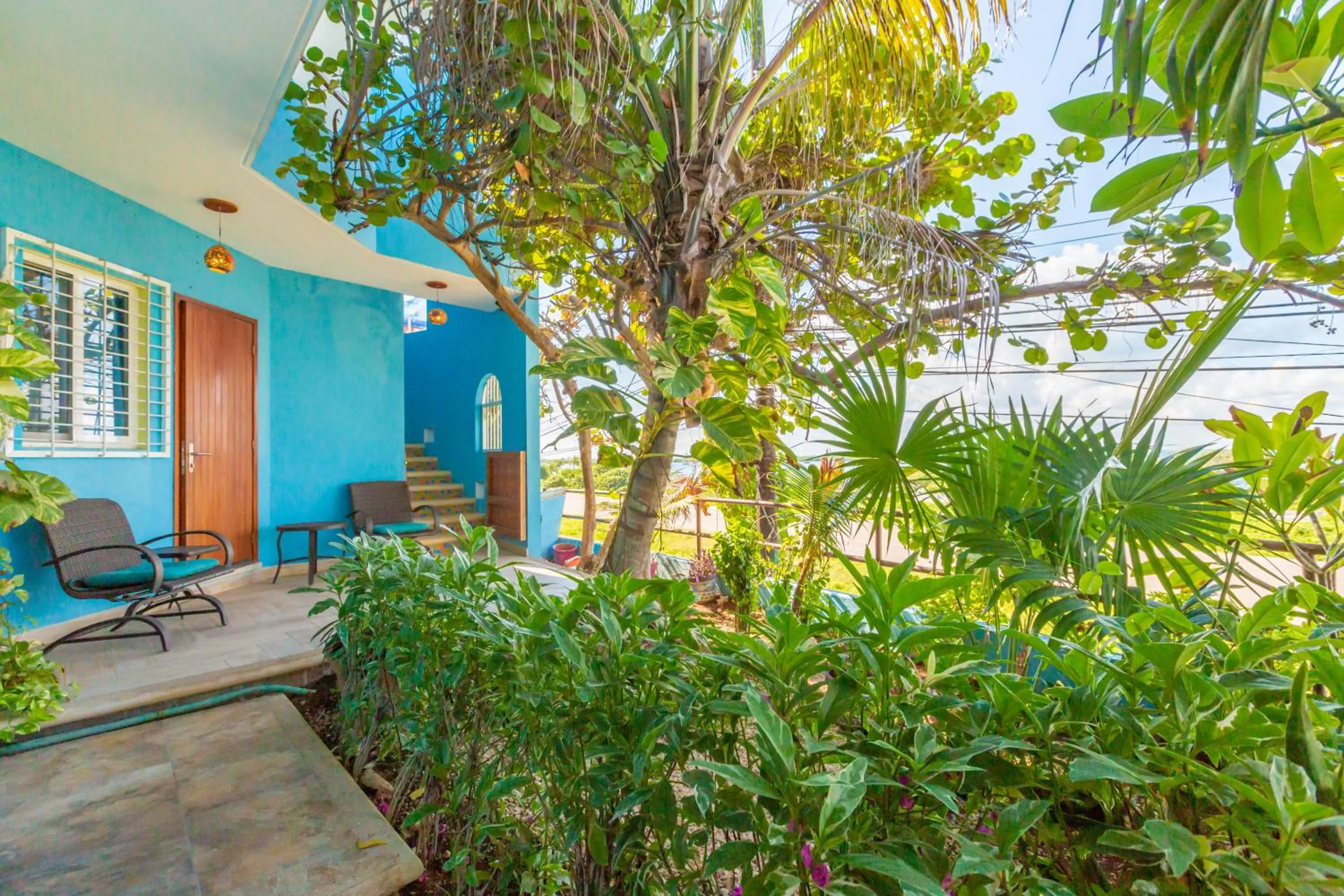 Garden in Casa Cielo Studio 1 with Tropical Garden Patio