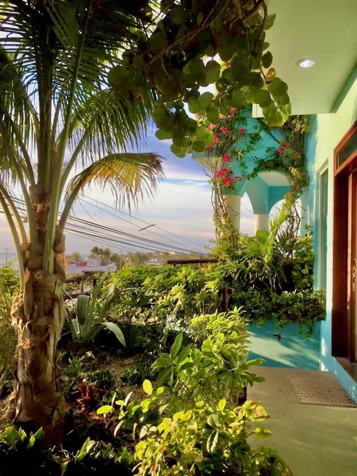 Garden in Casa Cielo Studio 1 with Tropical Garden Patio
