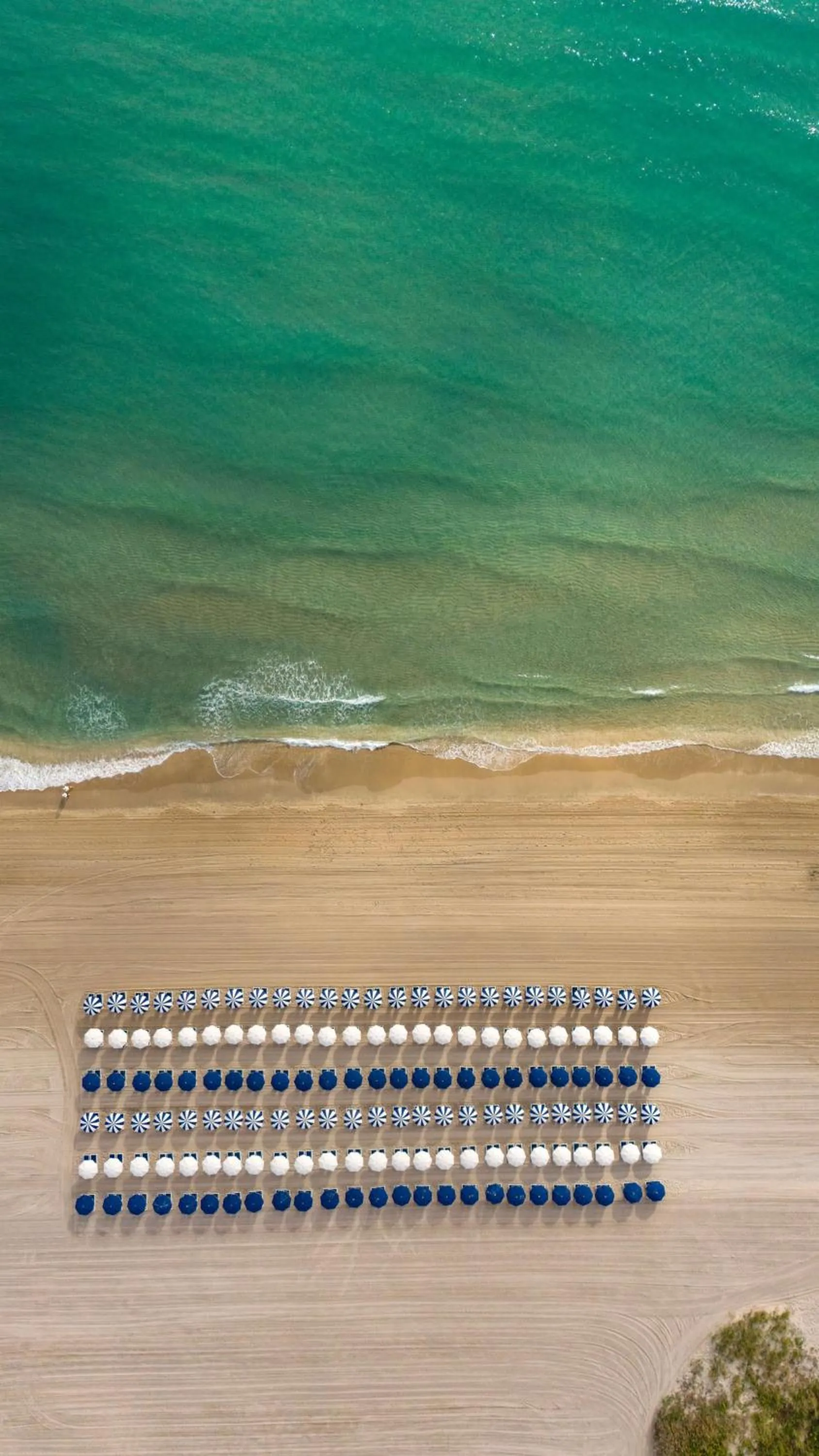 Beach in The Seagate Hotel, Golf & Beach Club, Autograph Collection
