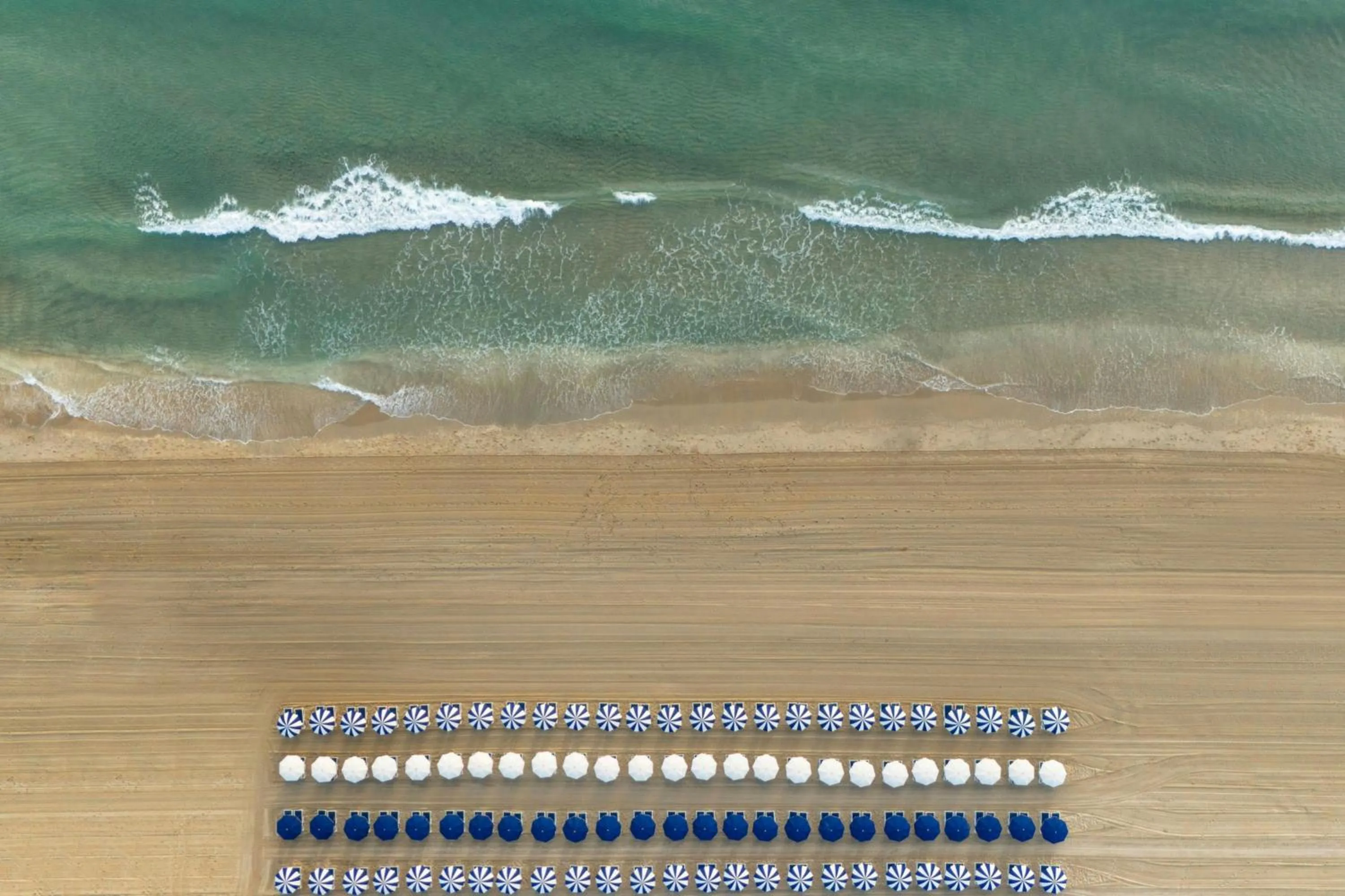 Beach in The Seagate Hotel, Golf & Beach Club, Autograph Collection