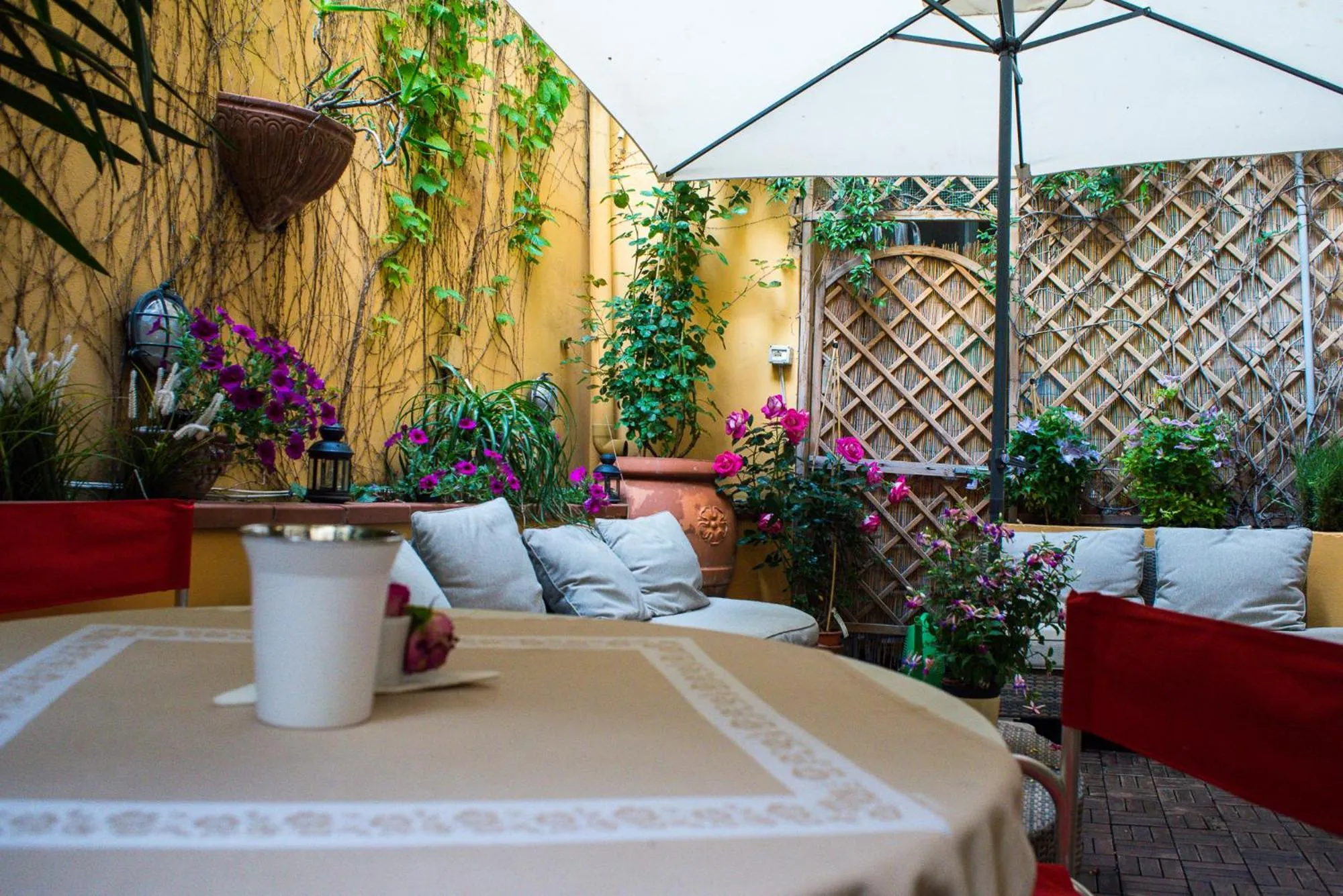 Garden in Hotel Ariston