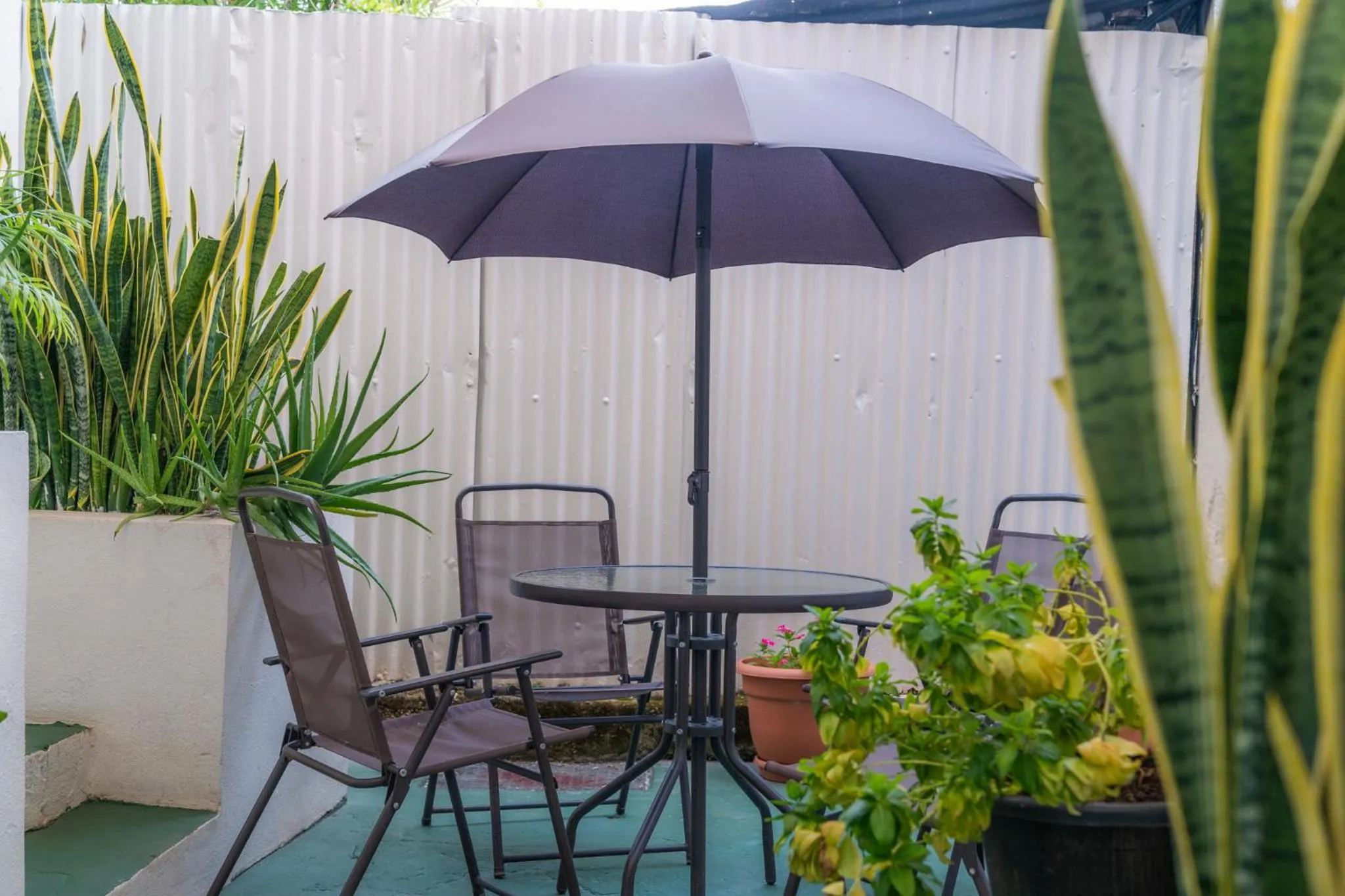 Patio in Casa Ramona
