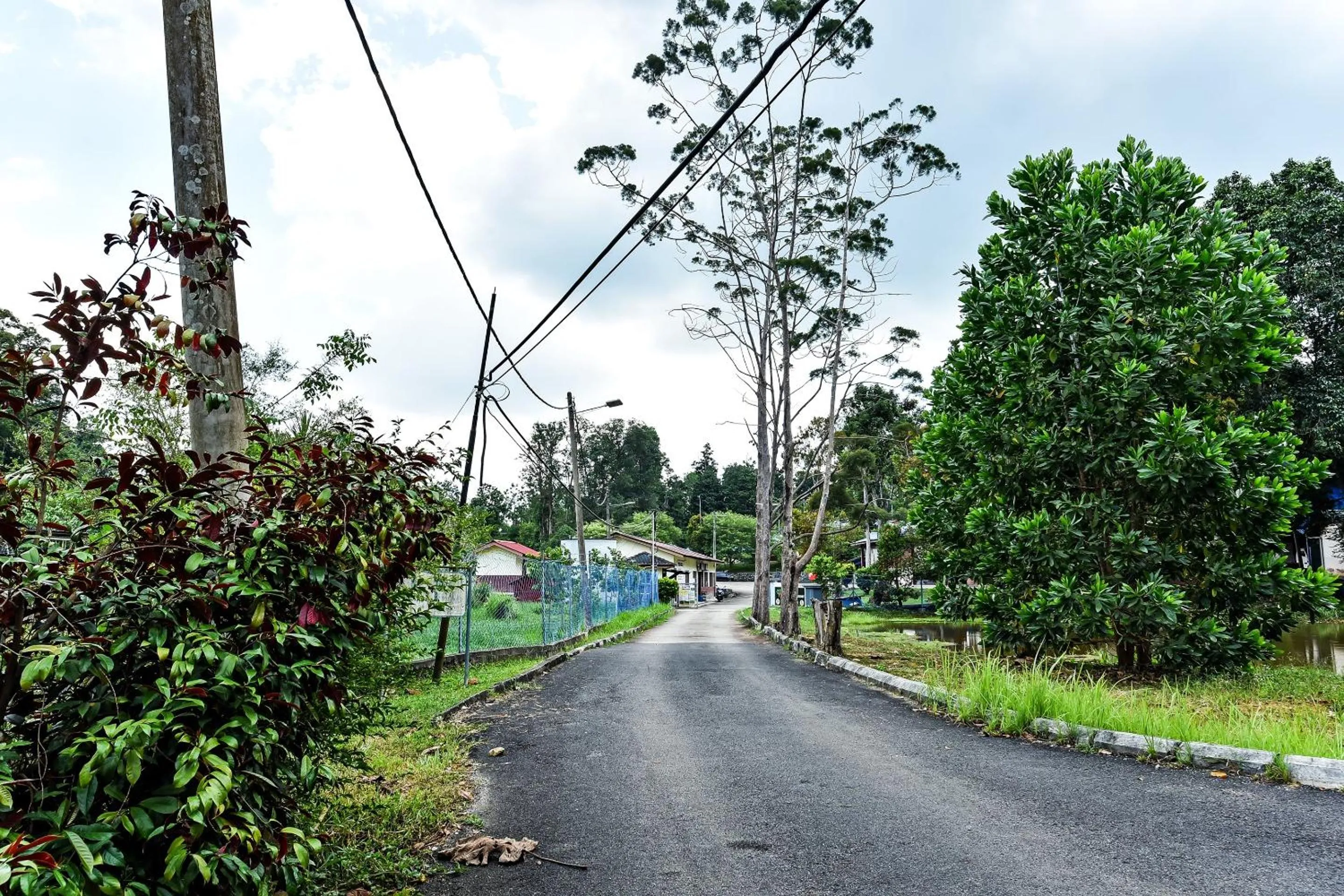 Facade/entrance in Hotel O Usima Forest Resort