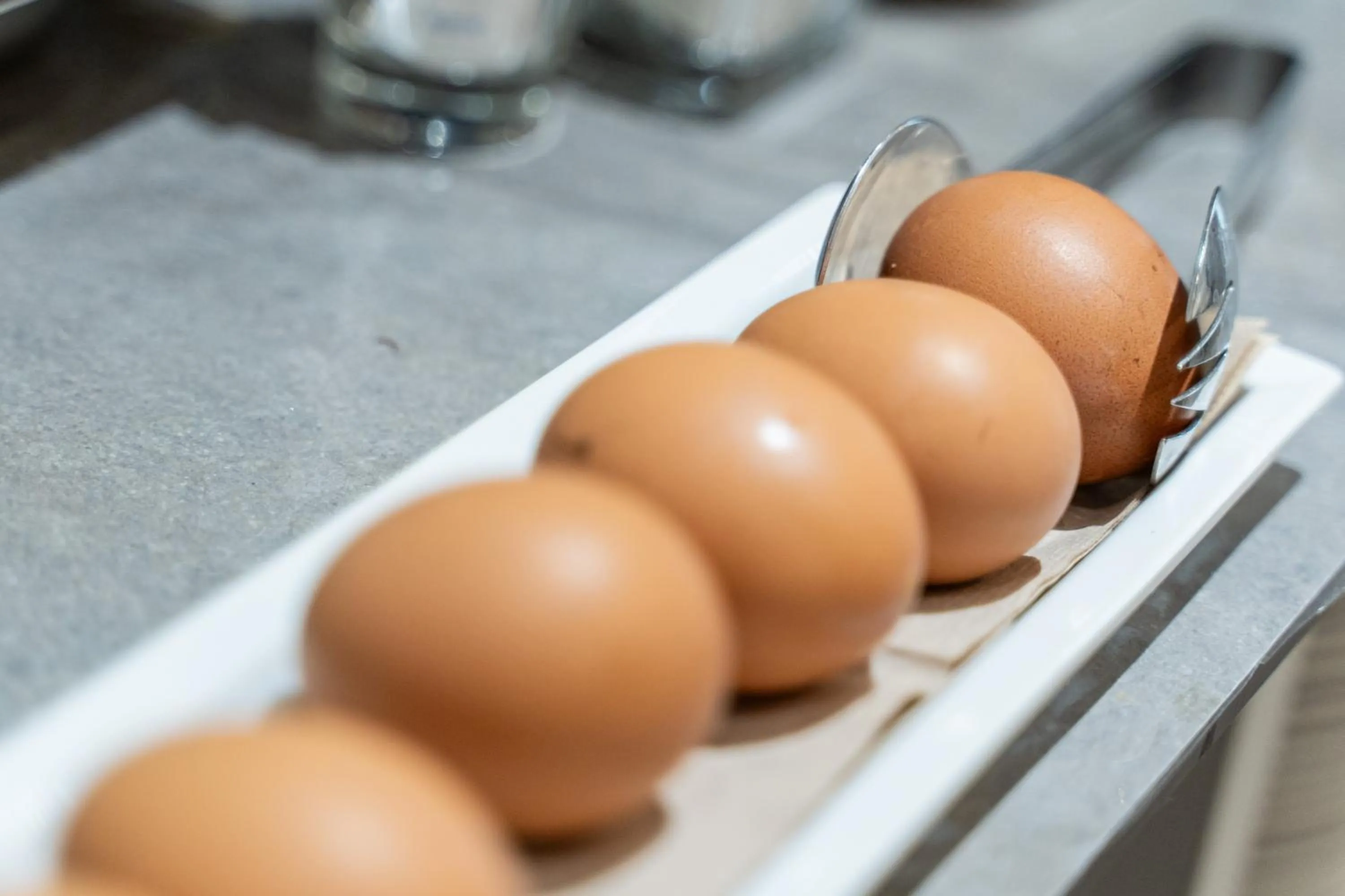 Restaurant/places to eat in Hotel Italia