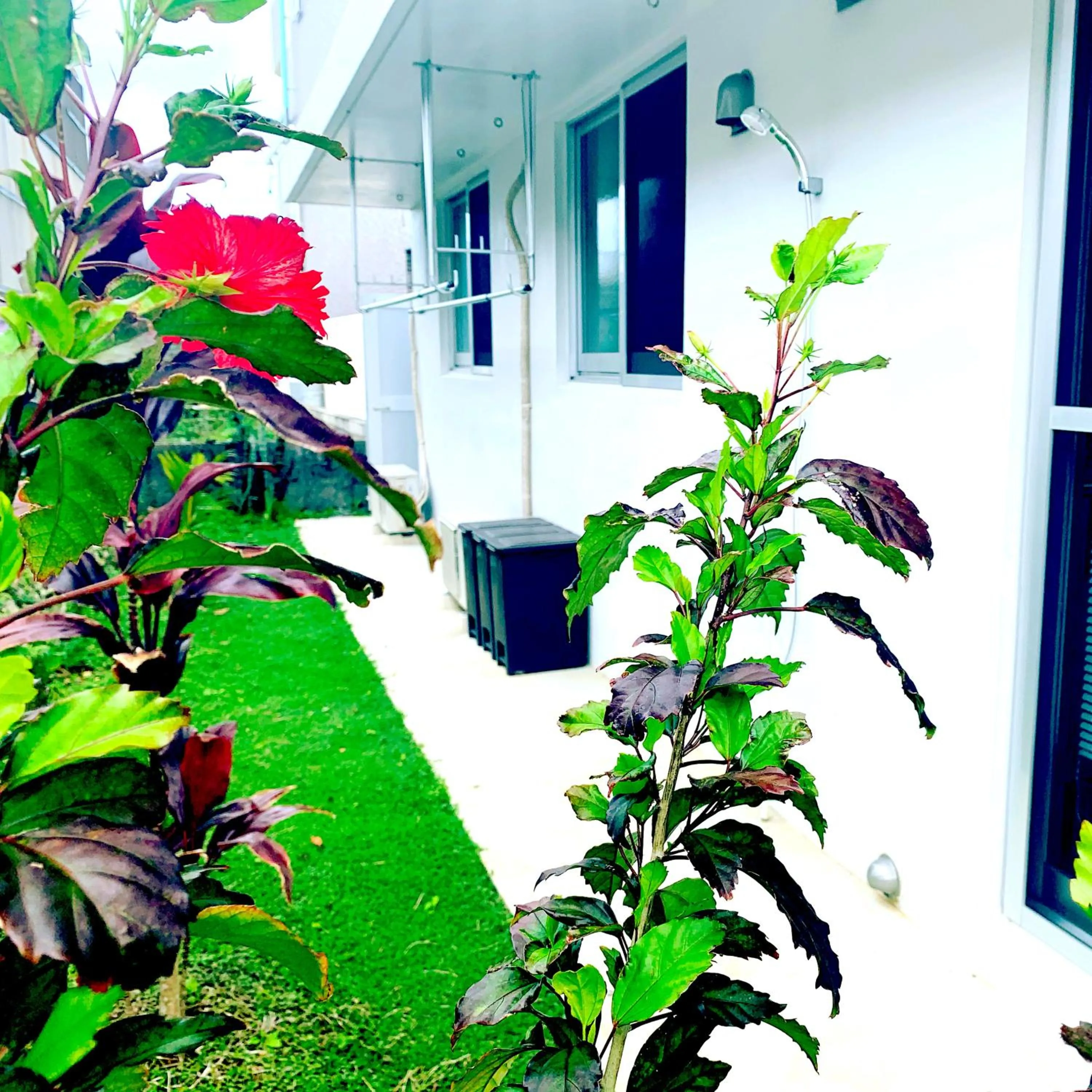 Facade/entrance in WhiteShisa