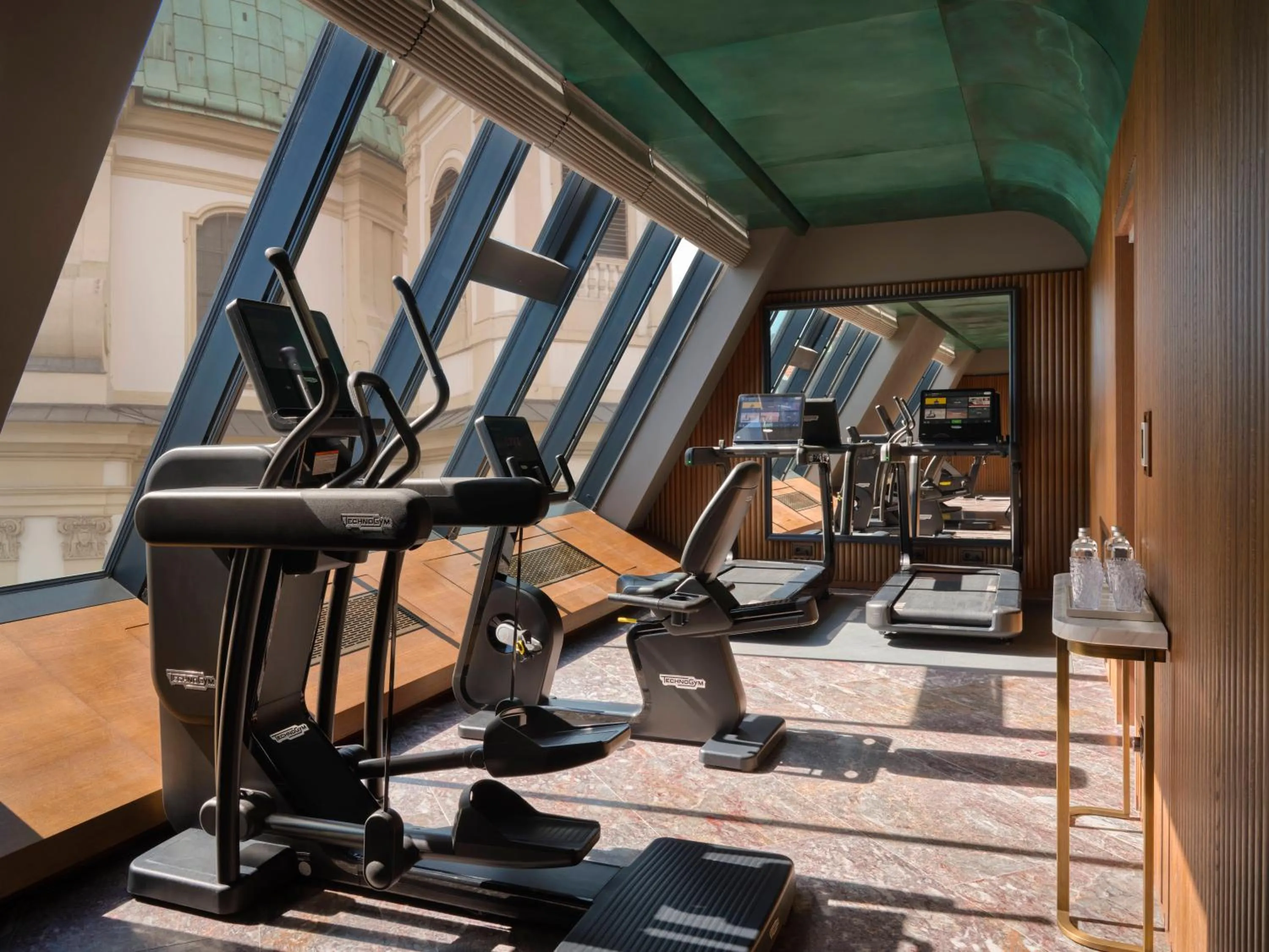 Fitness centre/facilities in Rosewood Vienna