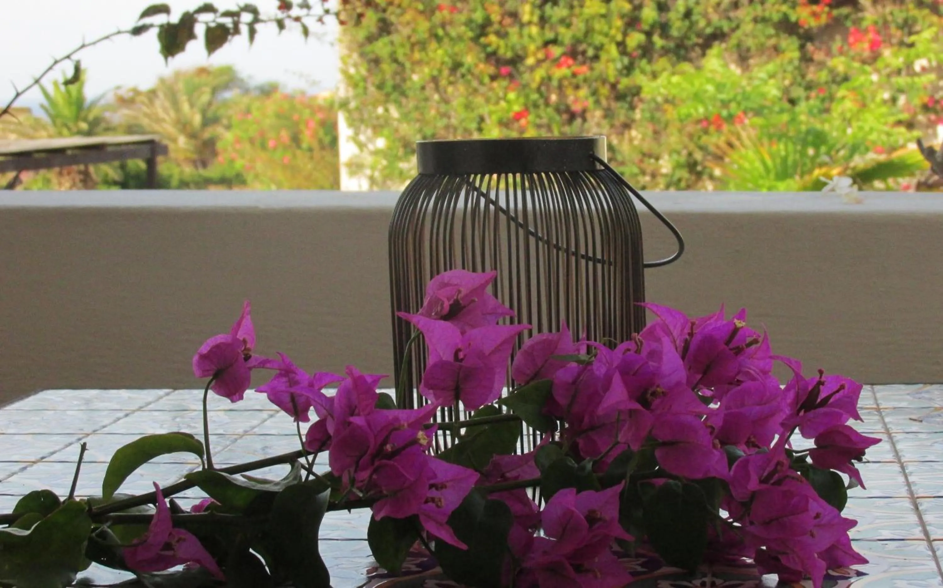 Balcony/Terrace in Le Lanterne Resort