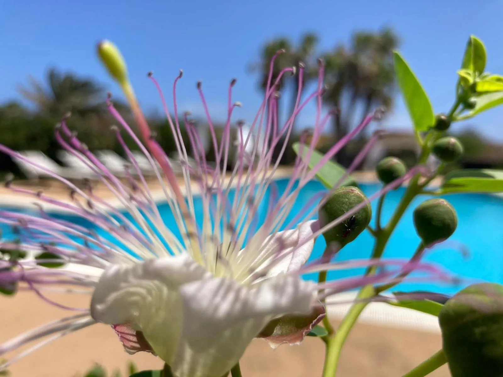 Day in Le Lanterne Resort