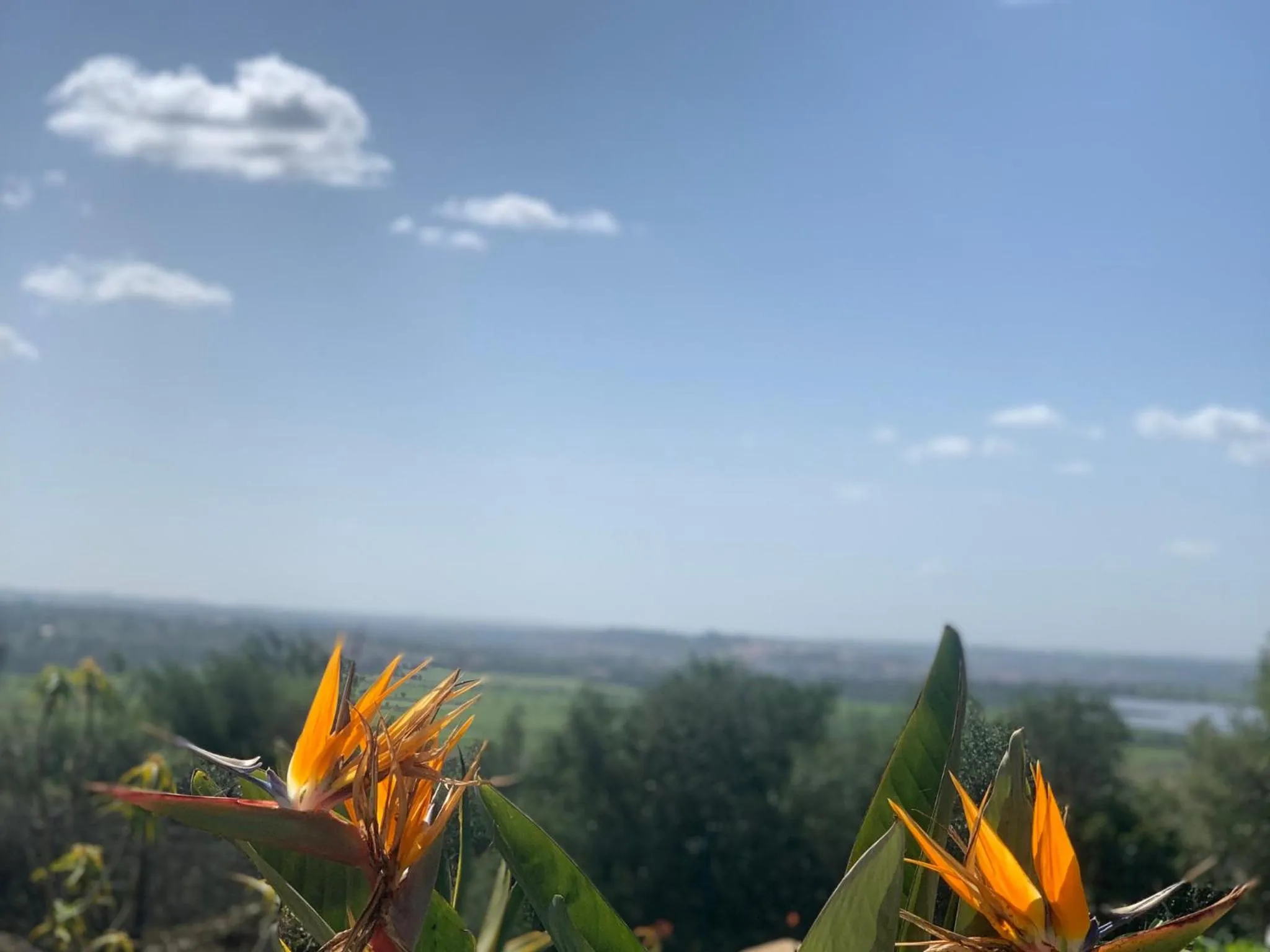 Natural landscape in Villa Tranberg Suites