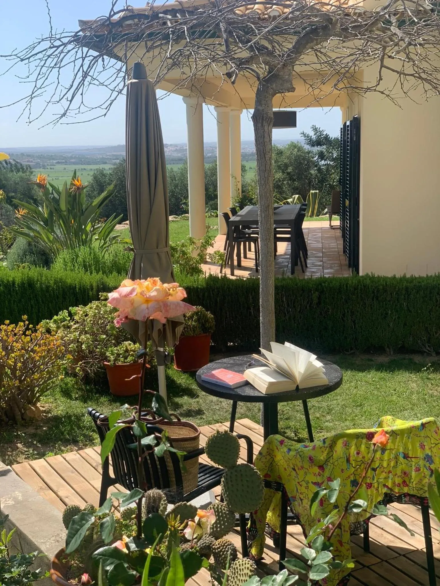 Garden view in Villa Tranberg Suites