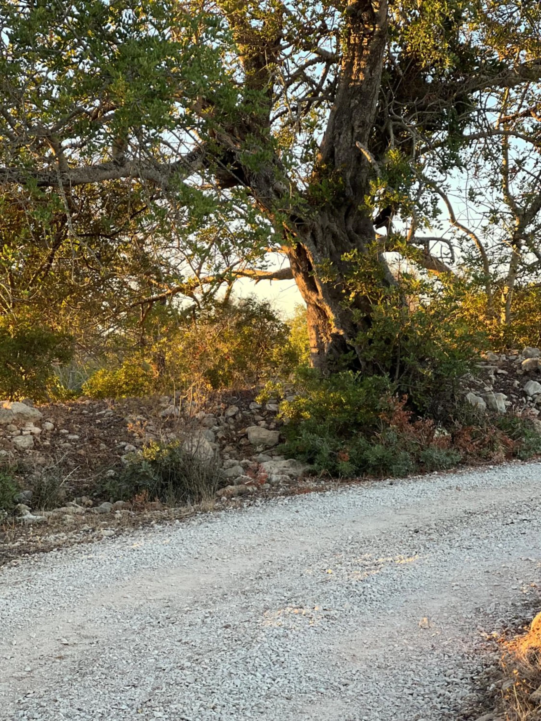 Street view in Villa Tranberg Suites