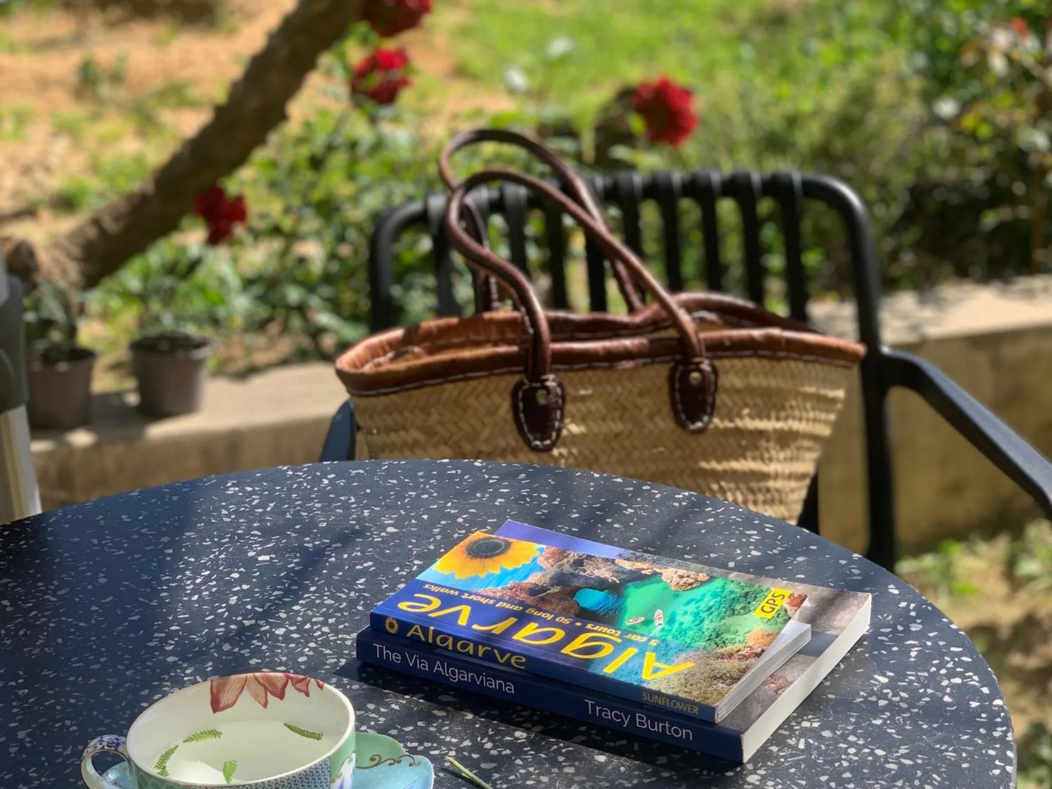 Balcony/Terrace in Villa Tranberg Suites