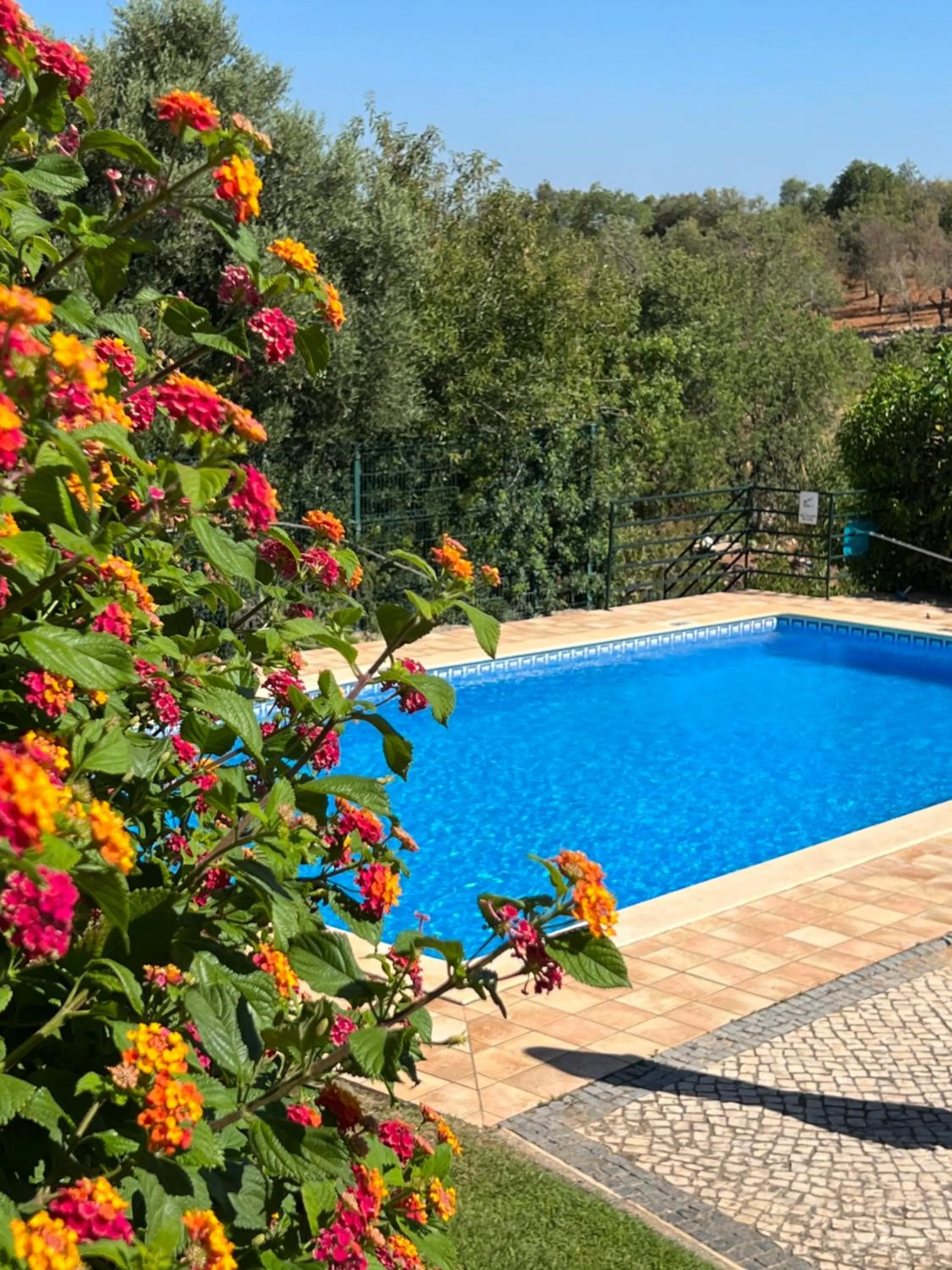 Swimming pool in Villa Tranberg Suites